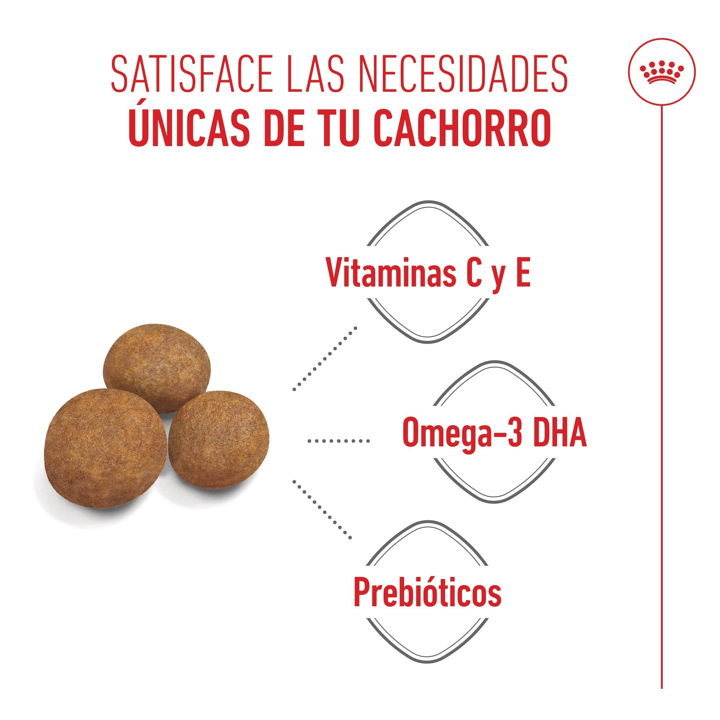 Royal Canin Maxi Puppy Pienso para Cachorros al mejor precio -todoastorenimal.com