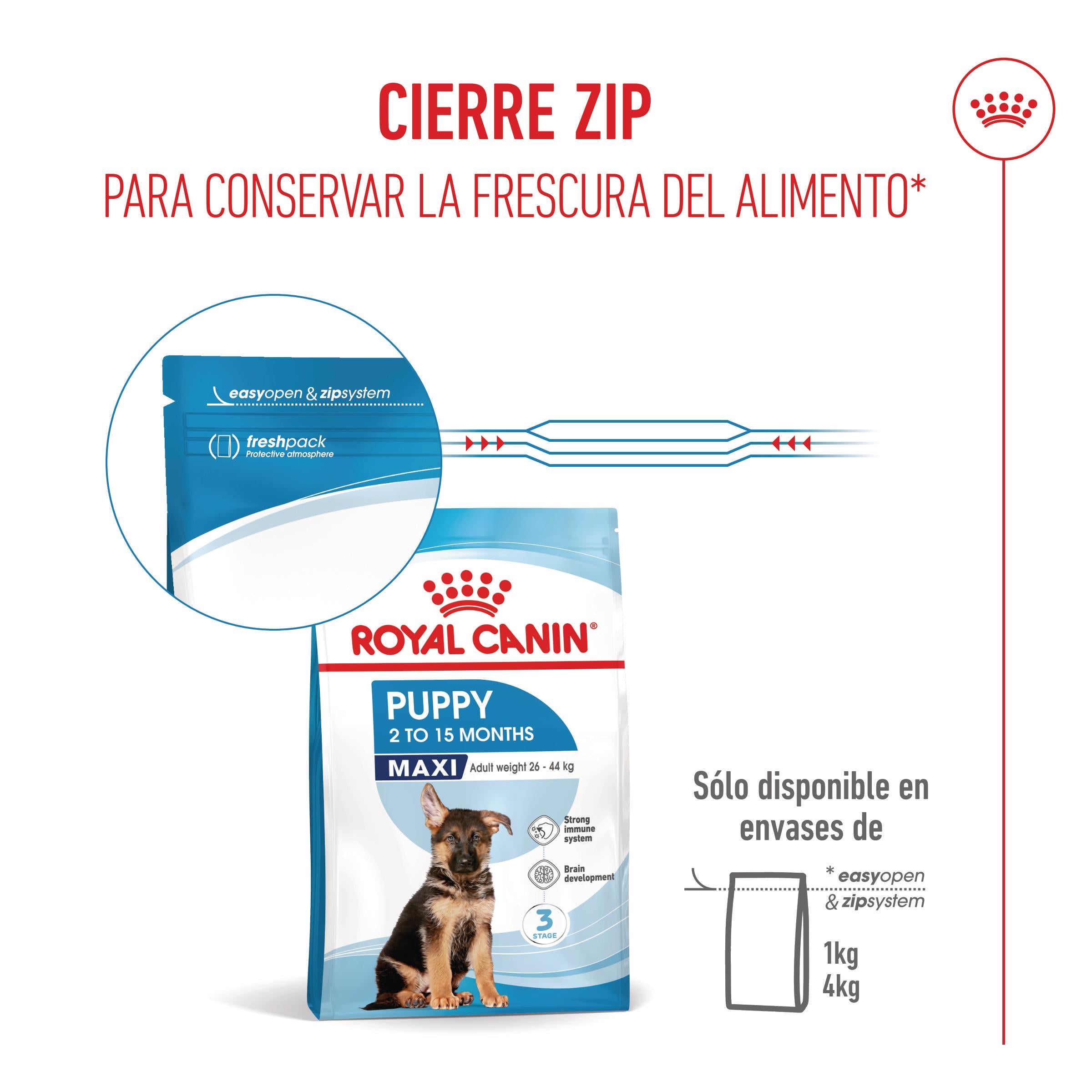 Royal Canin Maxi Puppy Pienso para Cachorros al mejor precio -todoastorenimal.com