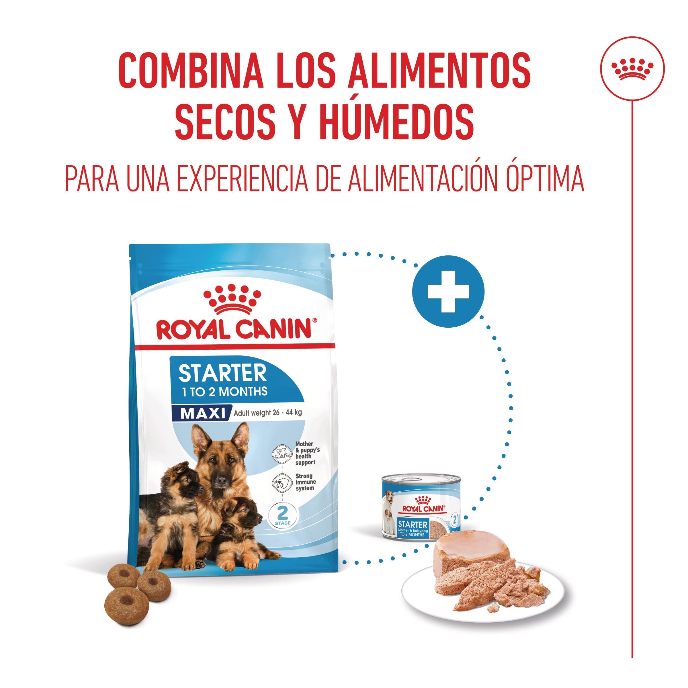 Royal Canin Maxi Starter Mother & Babydog Pienso para Cachorros y Madres Lactantes al mejor precio -todoastorenimal.com