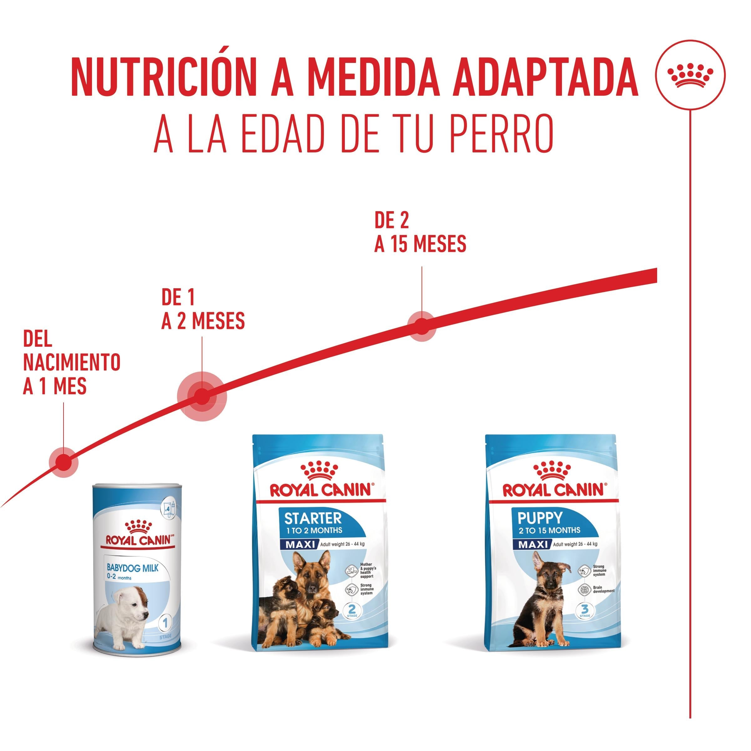 Royal Canin Maxi Starter Mother & Babydog Pienso para Cachorros y Madres Lactantes al mejor precio -todoastorenimal.com