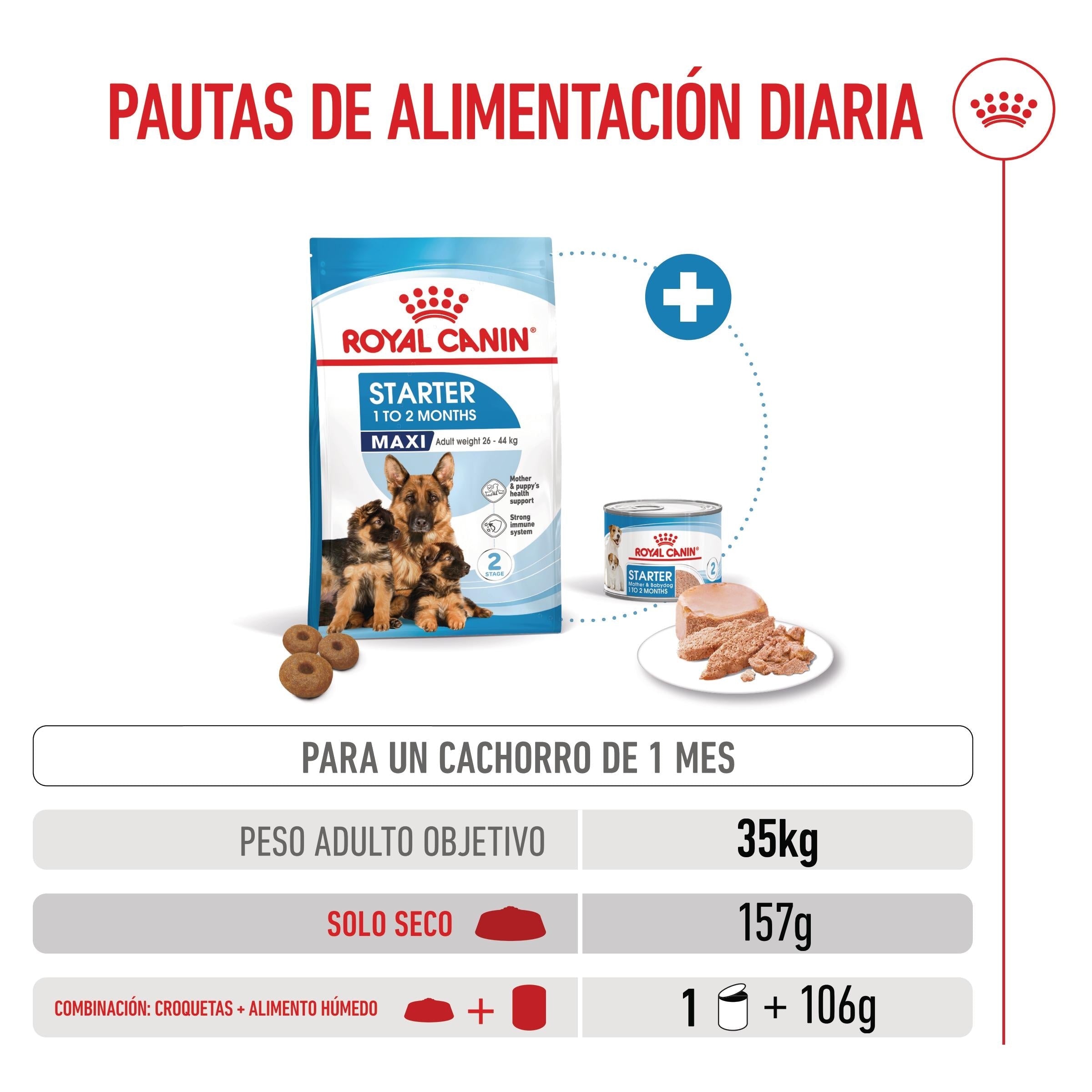 Royal Canin Maxi Starter Mother & Babydog Pienso para Cachorros y Madres Lactantes al mejor precio -todoastorenimal.com