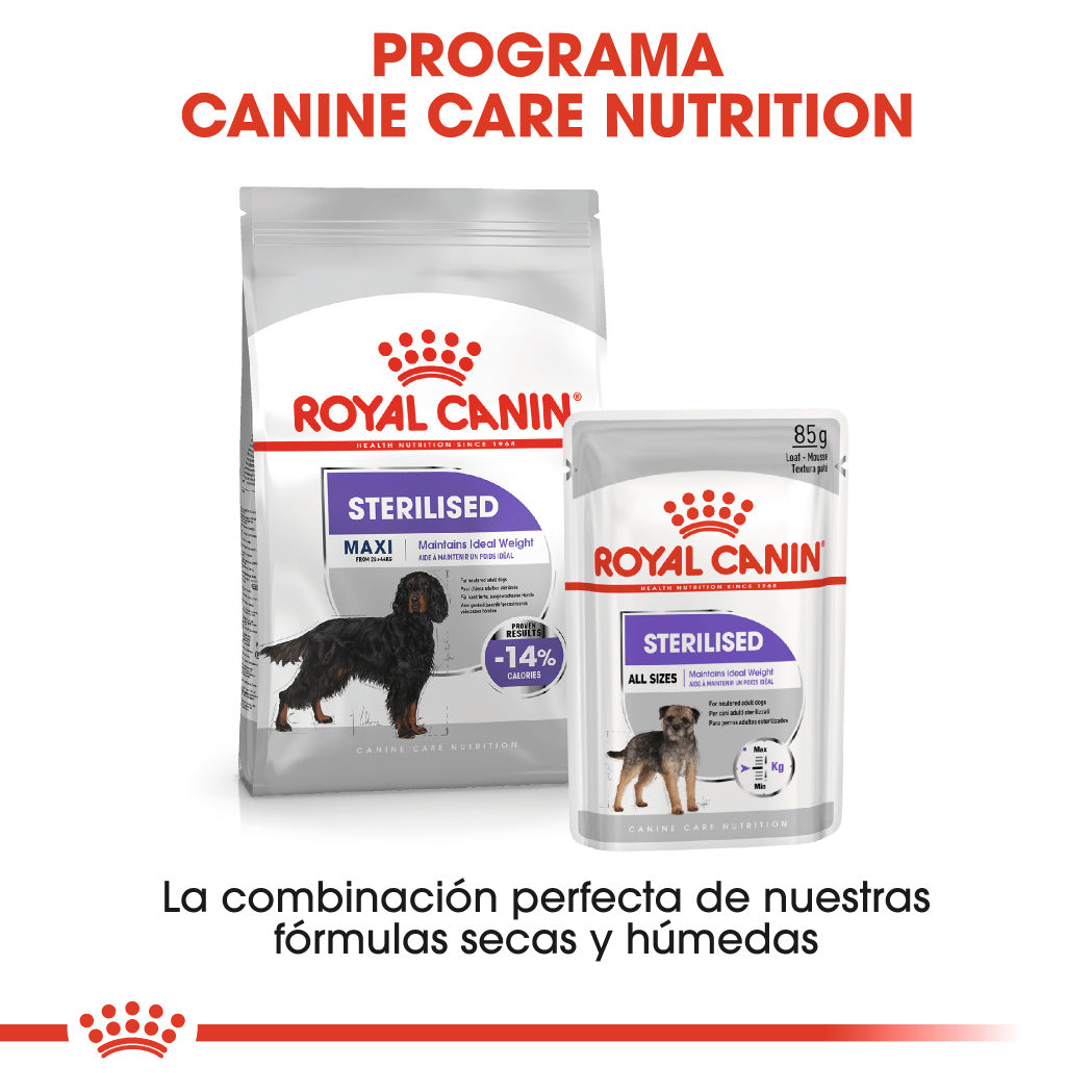Royal Canin Maxi Sterilized Care Pienso para Perros Esterilizados al mejor precio -todoastorenimal.com