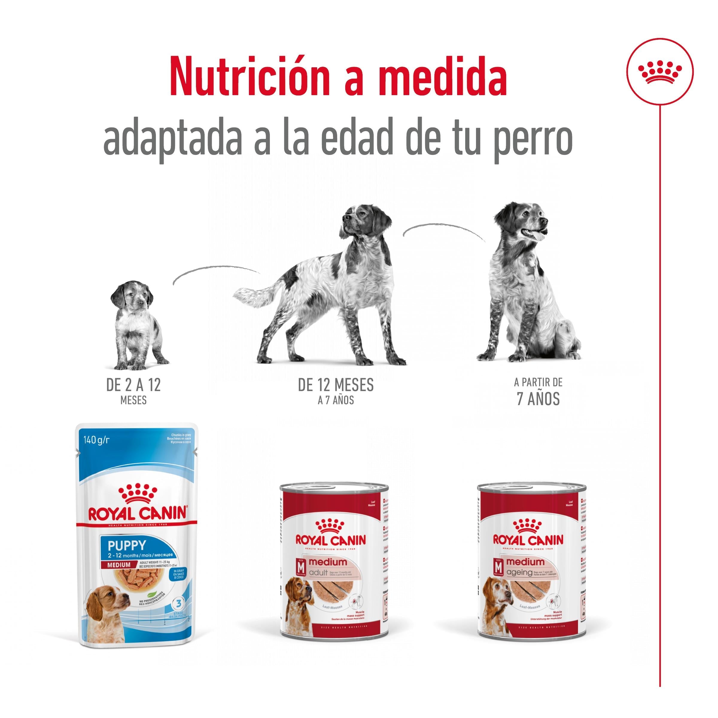 Royal Canin Medium Adult 410 g lata perro húmedo al mejor precio -todoastorenimal.com
