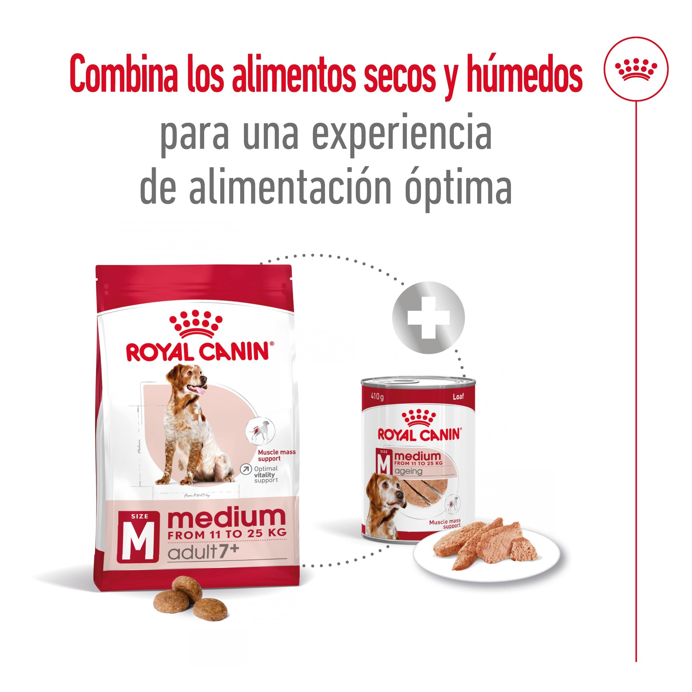 Royal Canin Medium Adult 7+ Pienso para Perros al mejor precio -todoastorenimal.com