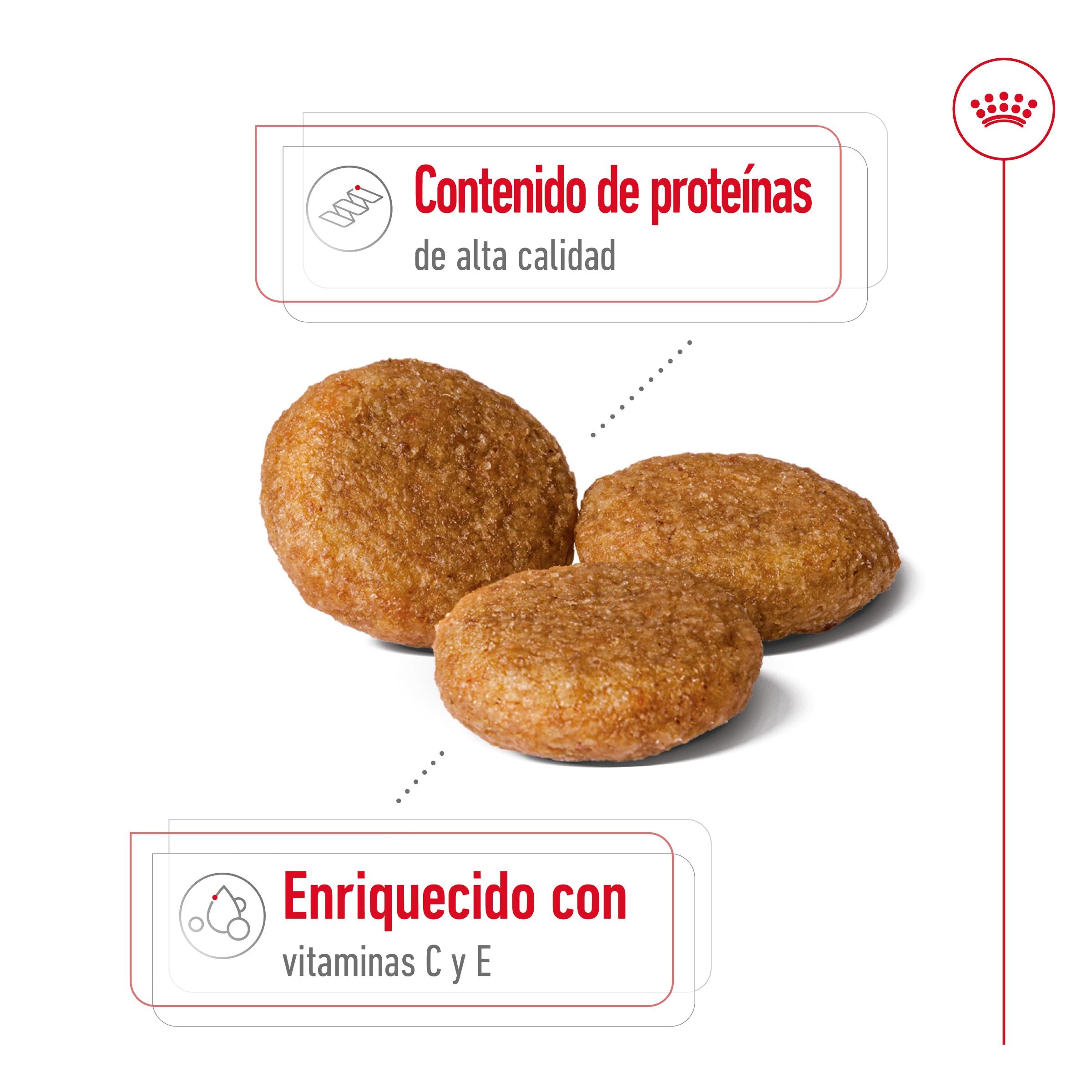 Royal Canin Medium Adult Pienso para Perros al mejor precio -todoastorenimal.com