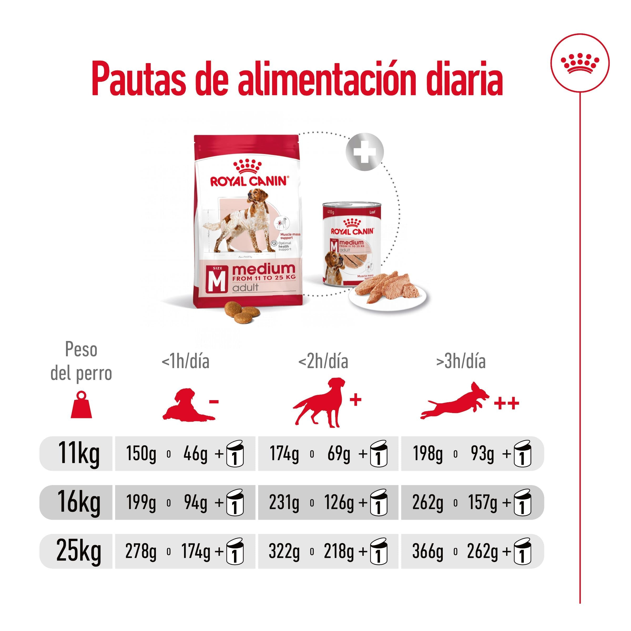 Royal Canin Medium Adult Pienso para Perros al mejor precio -todoastorenimal.com