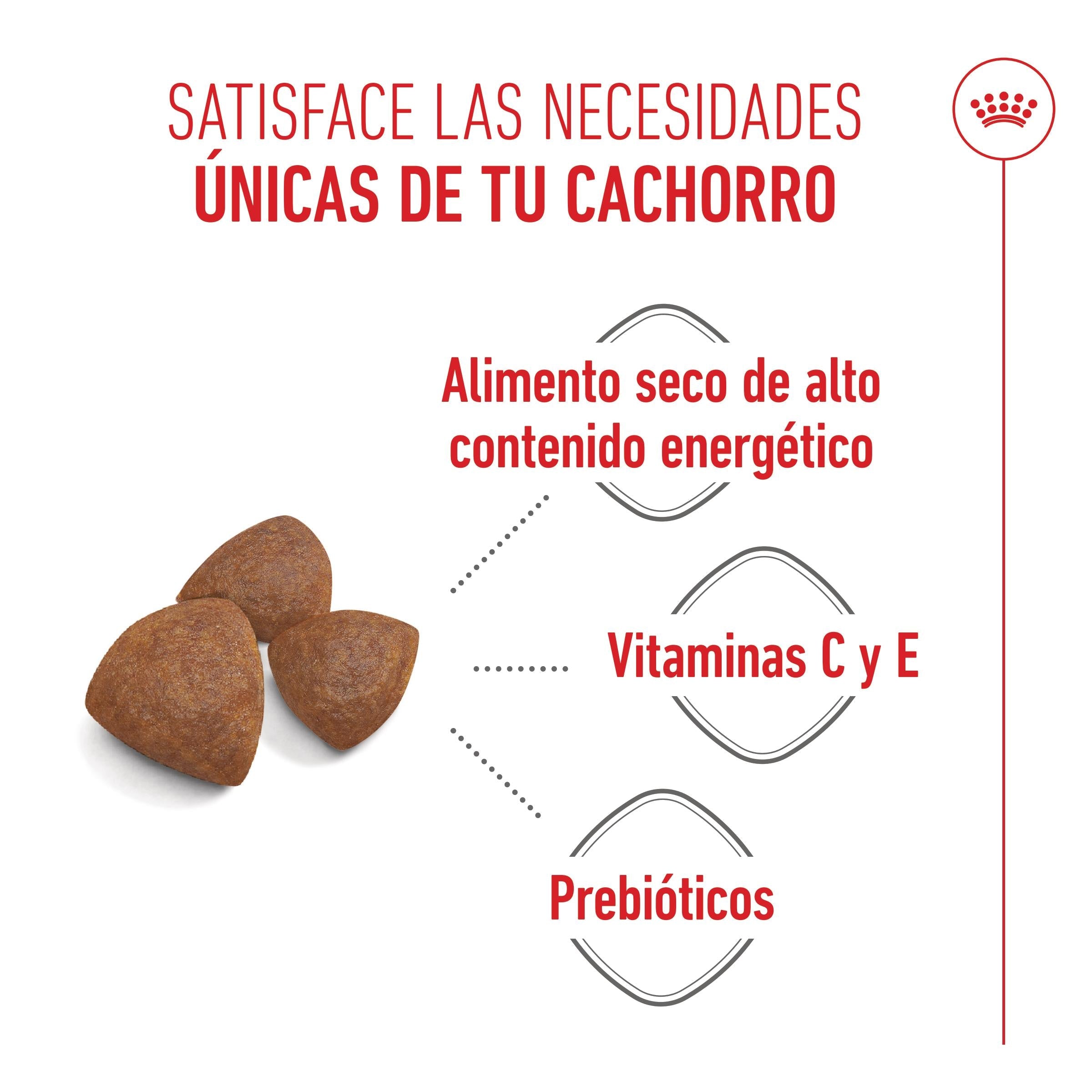 Royal Canin Medium Starter Mother & Babydog Pienso para Cachorros y Madres Lactantes al mejor precio -todoastorenimal.com