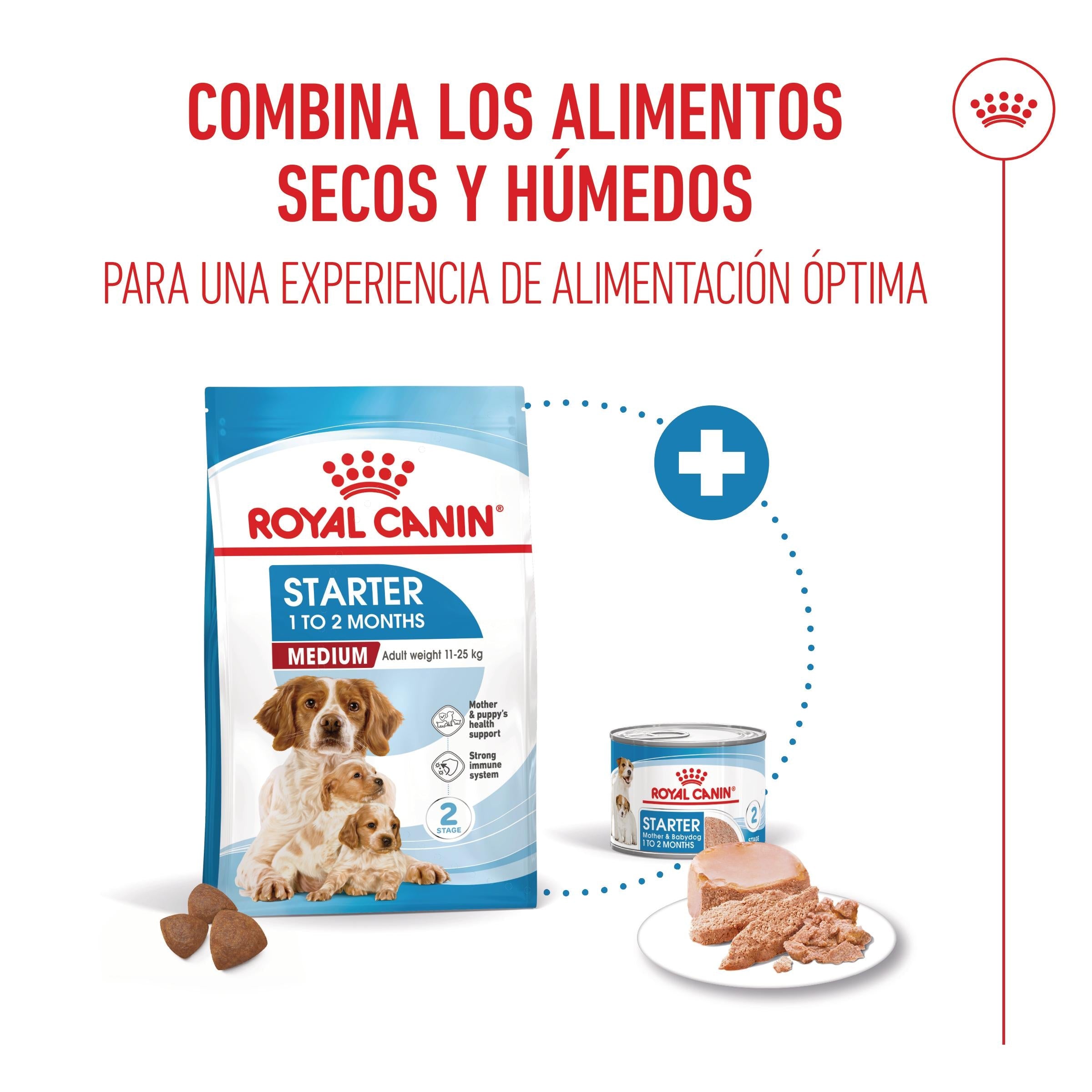 Royal Canin Medium Starter Mother & Babydog Pienso para Cachorros y Madres Lactantes al mejor precio -todoastorenimal.com