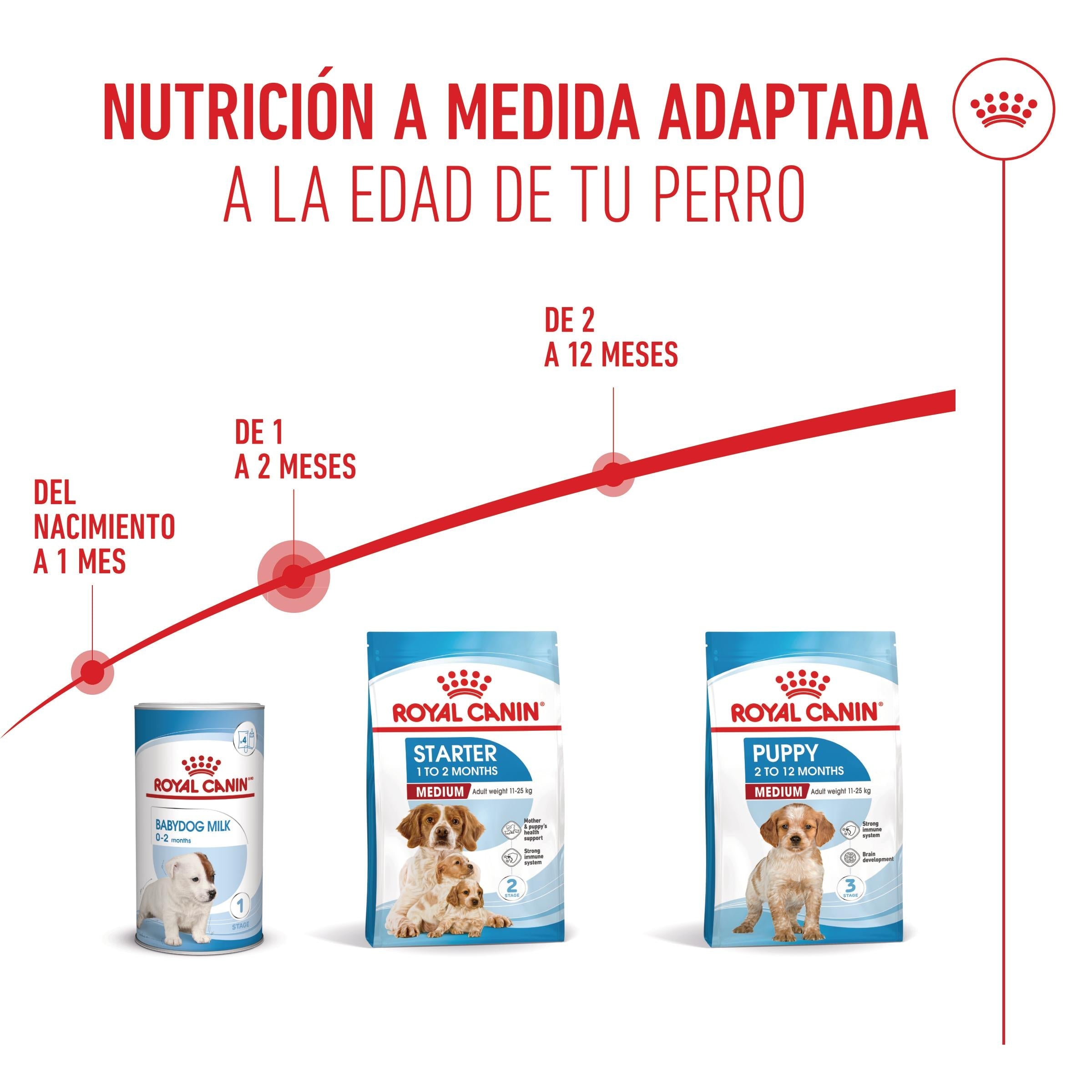 Royal Canin Medium Starter Mother & Babydog Pienso para Cachorros y Madres Lactantes al mejor precio -todoastorenimal.com