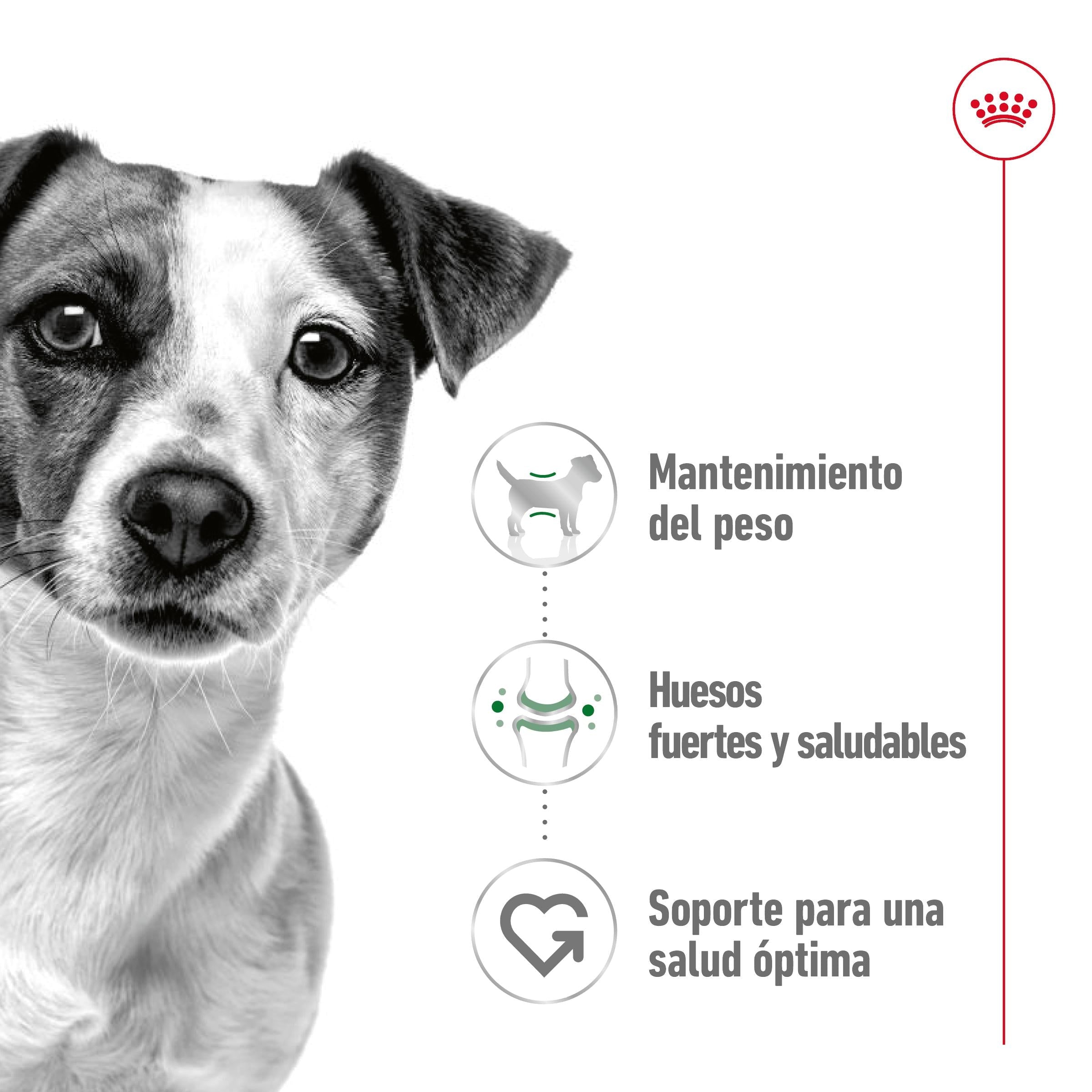 Royal Canin Mini Adult Lata 195 g Paté Húmedo para Perros al mejor precio -todoastorenimal.com