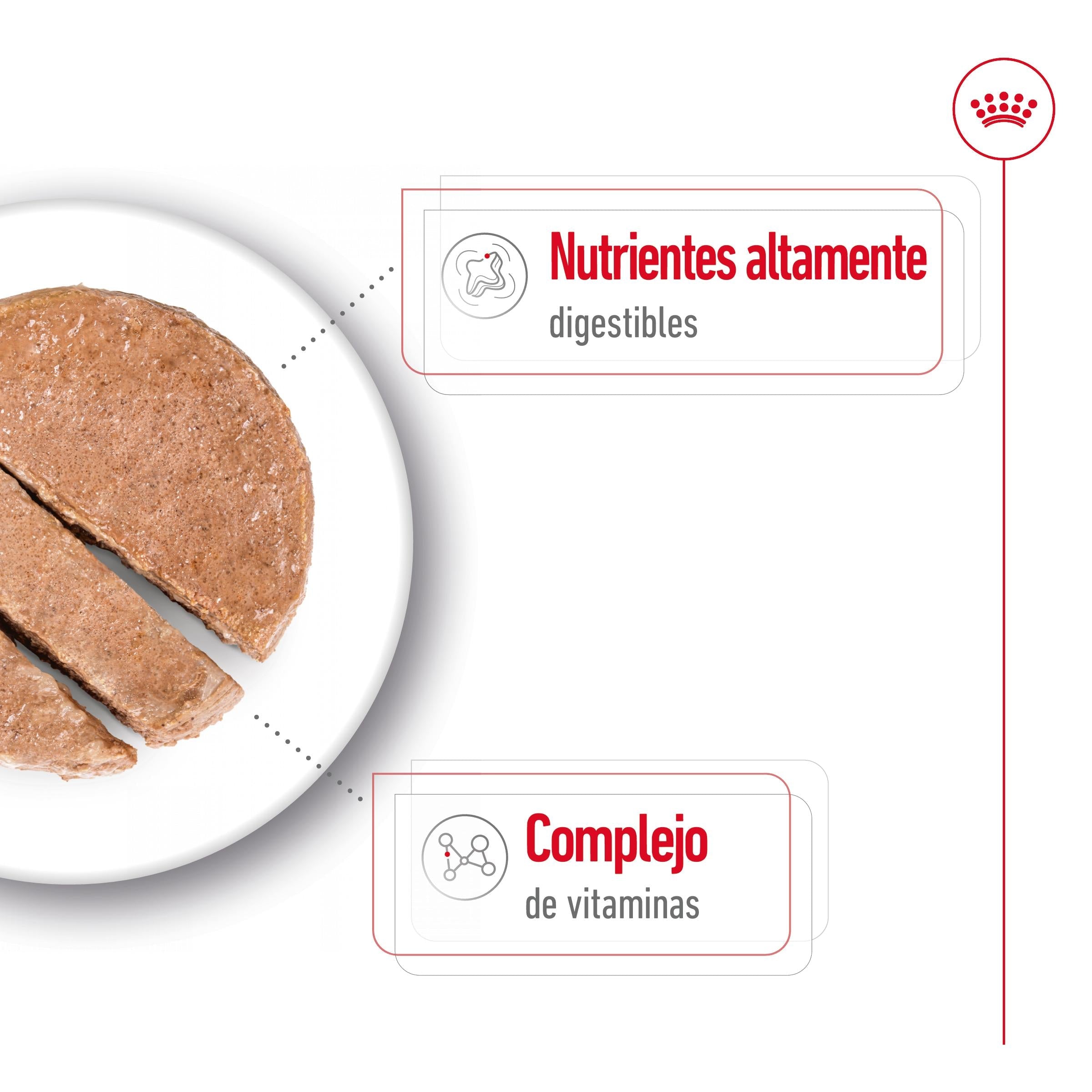 Royal Canin Mini Adult Lata 195 g Paté Húmedo para Perros al mejor precio -todoastorenimal.com