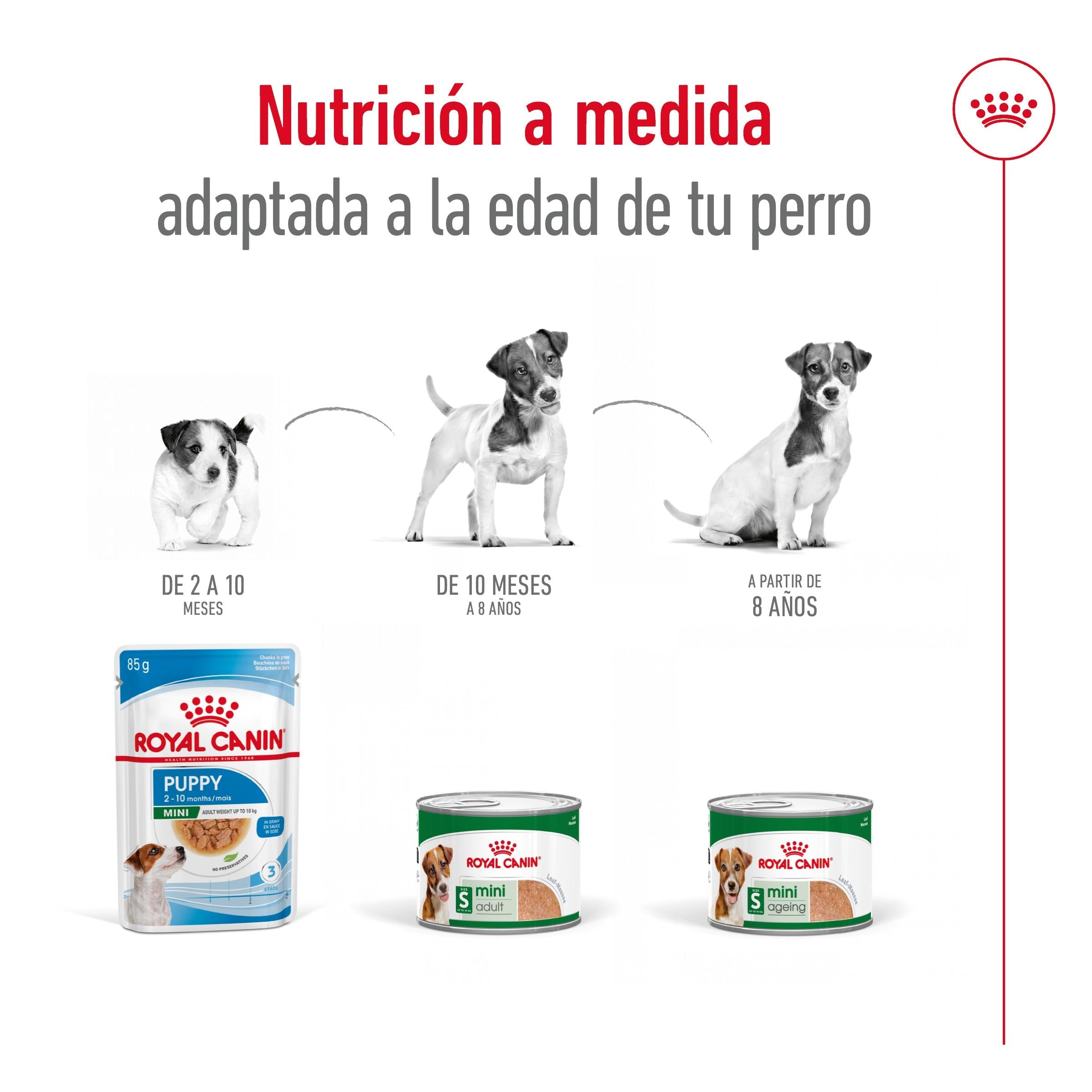 Royal Canin Mini Adult Lata 195 g Paté Húmedo para Perros al mejor precio -todoastorenimal.com
