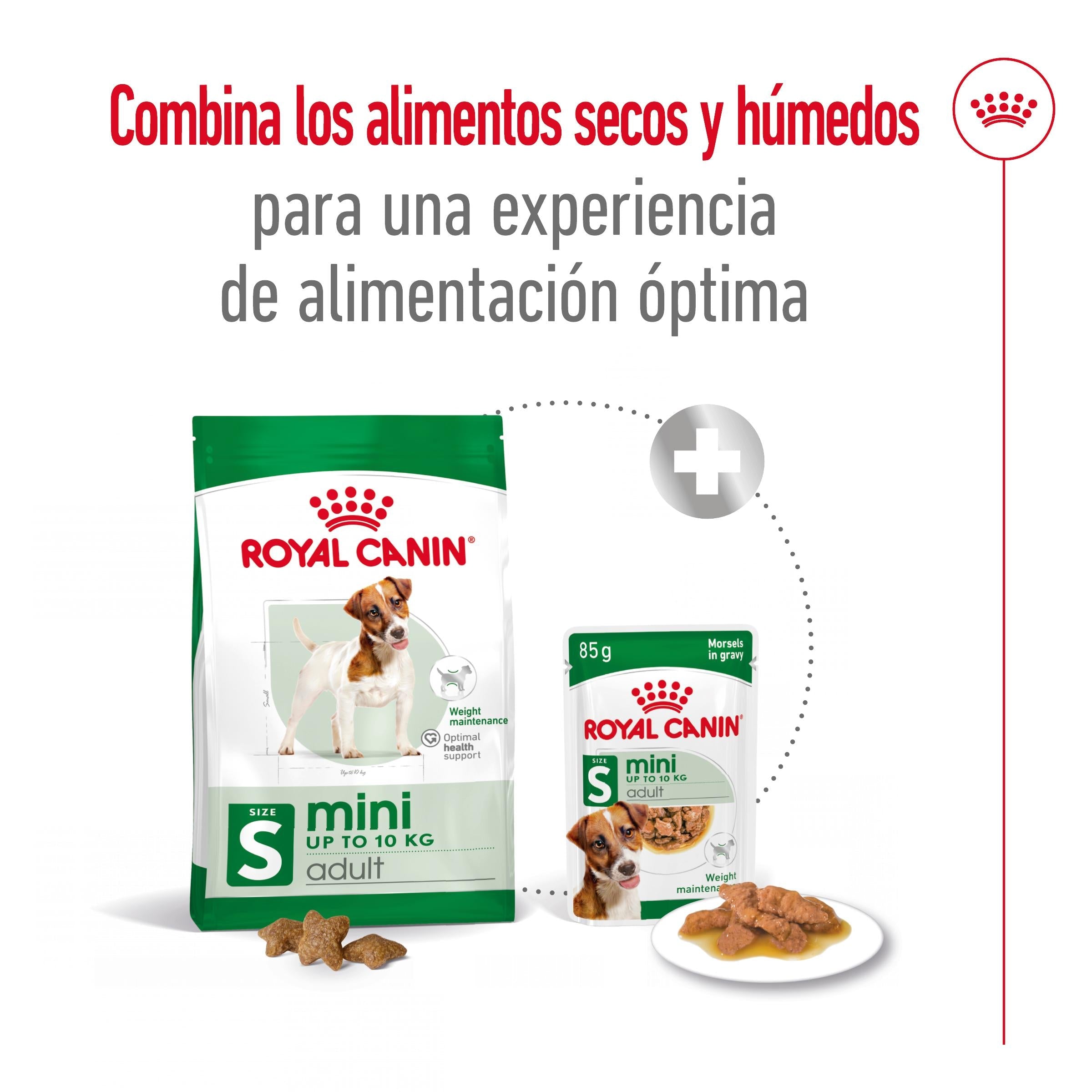 Royal Canin Mini Adult S Pienso para Perros al mejor precio -todoastorenimal.com