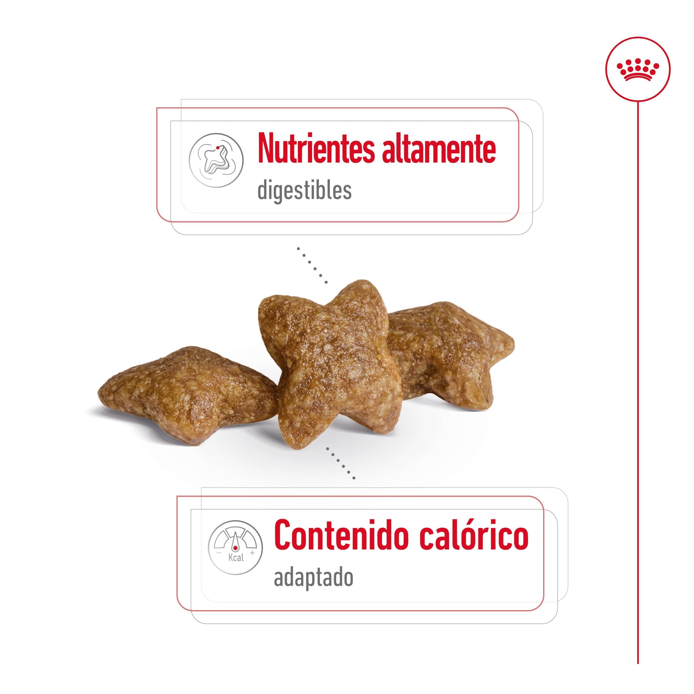 Royal Canin Mini Adult S Pienso para Perros al mejor precio -todoastorenimal.com