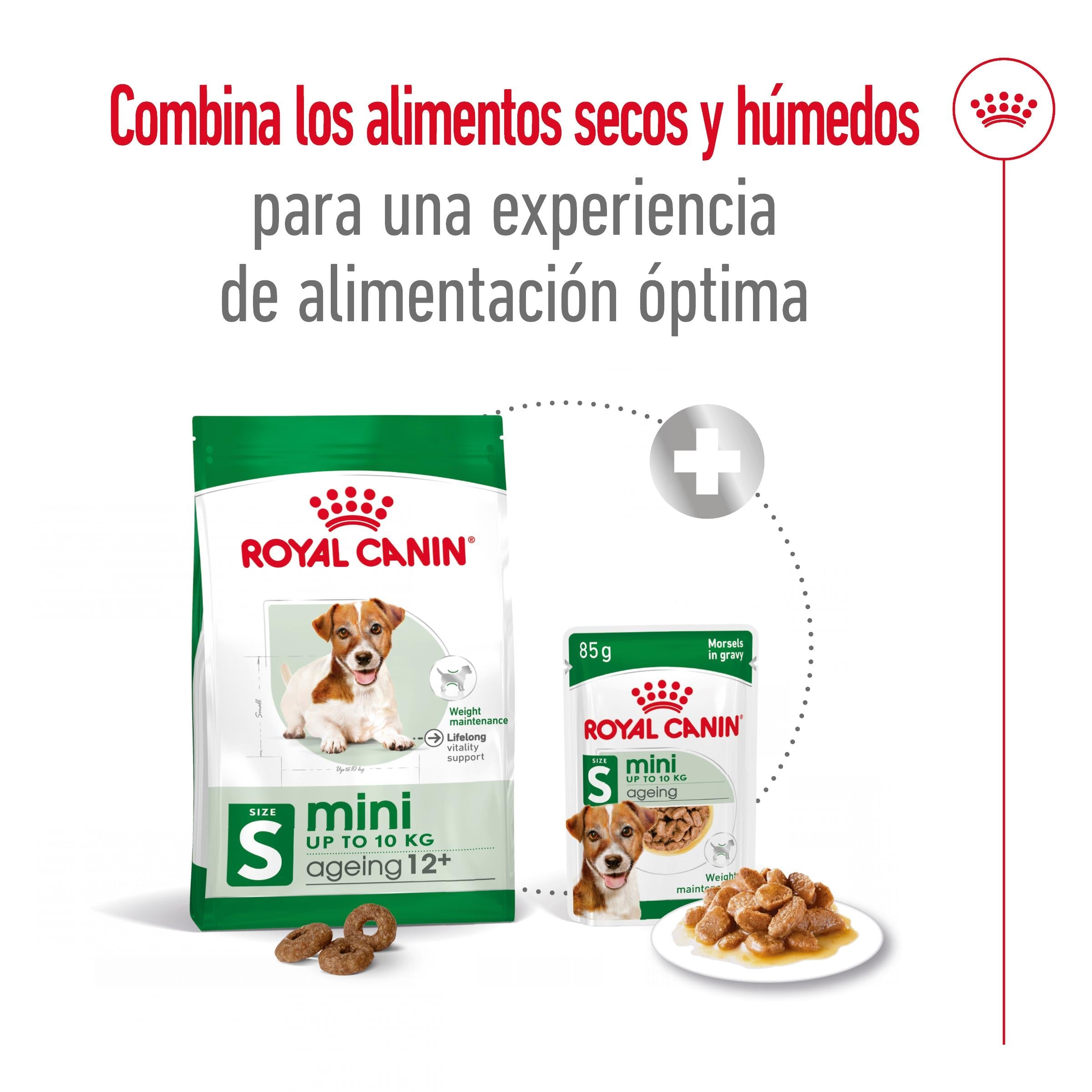 Royal Canin Mini Ageing+12 Pienso para Perros Senior al mejor precio -todoastorenimal.com