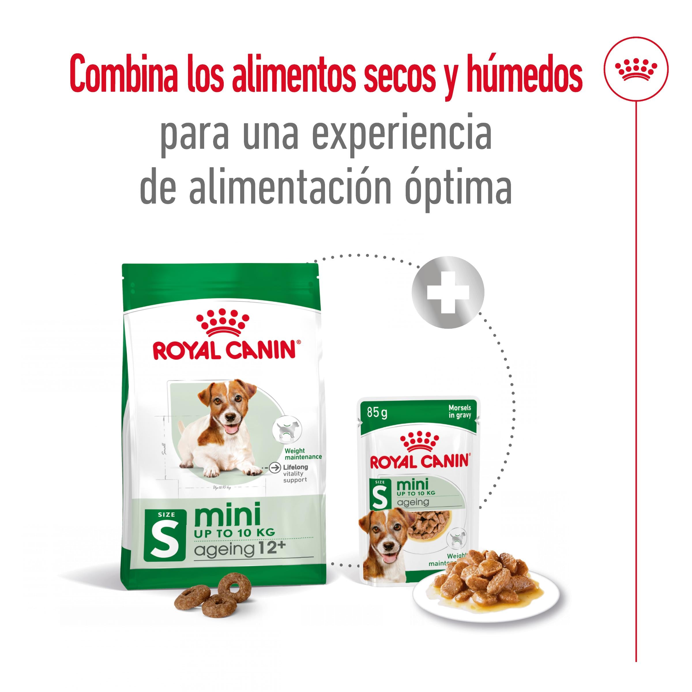 Royal Canin Mini Ageing+12 Pienso para Perros Senior al mejor precio -todoastorenimal.com