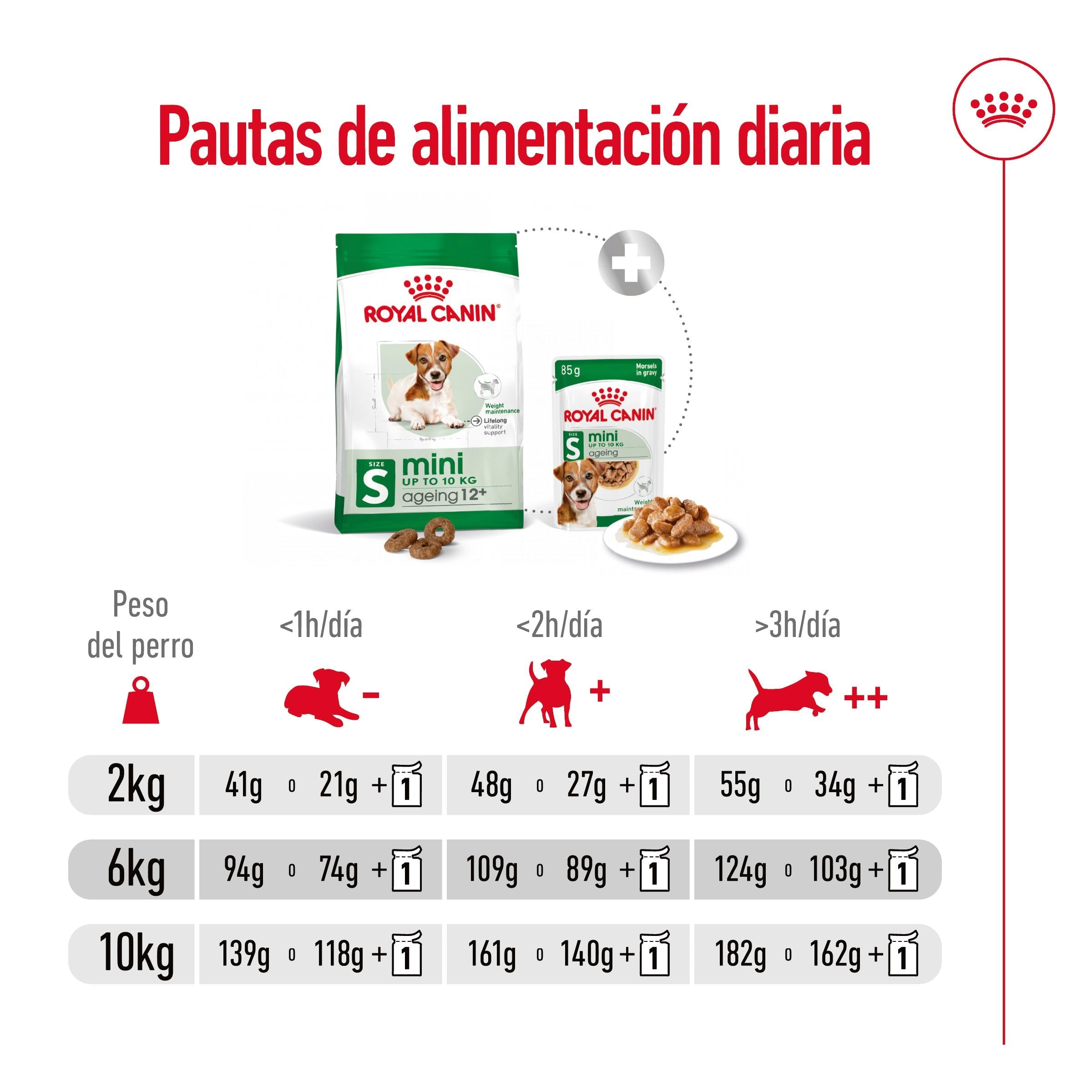 Royal Canin Mini Ageing+12 Pienso para Perros Senior al mejor precio -todoastorenimal.com