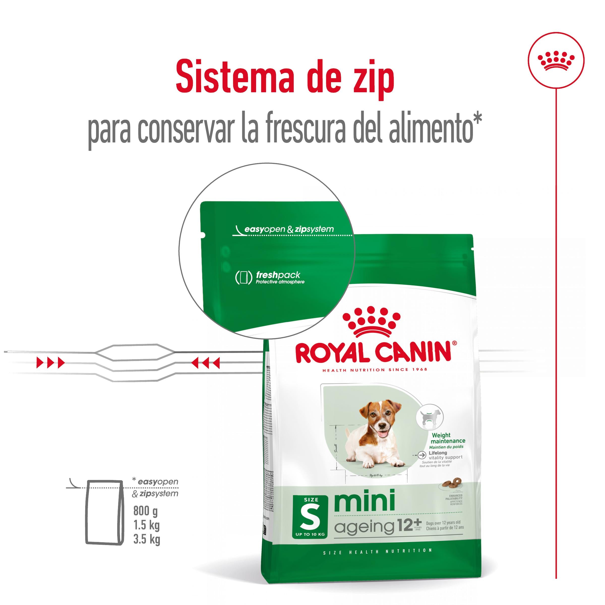 Royal Canin Mini Ageing+12 Pienso para Perros Senior al mejor precio -todoastorenimal.com