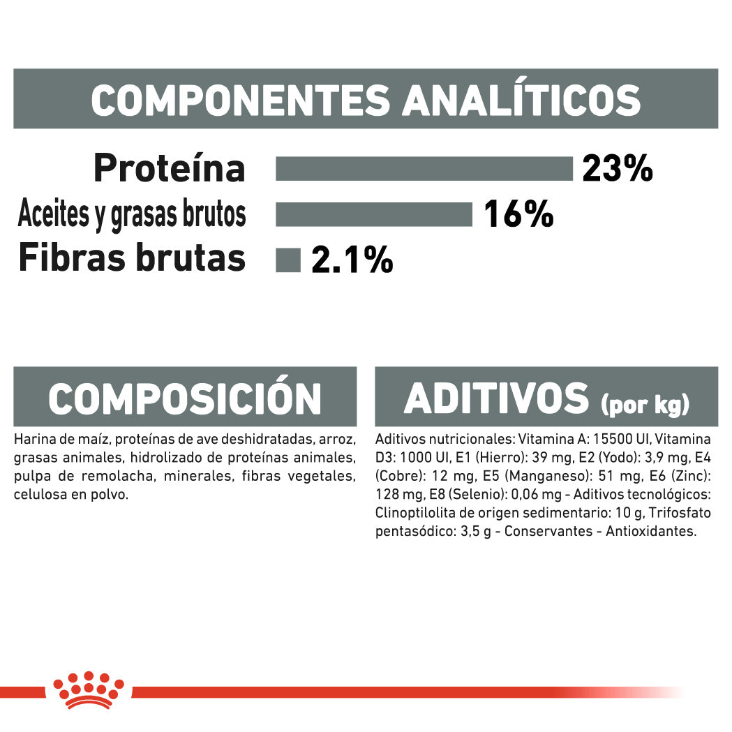 Royal Canin Mini Dental Care Pienso para Perros al mejor precio -todoastorenimal.com