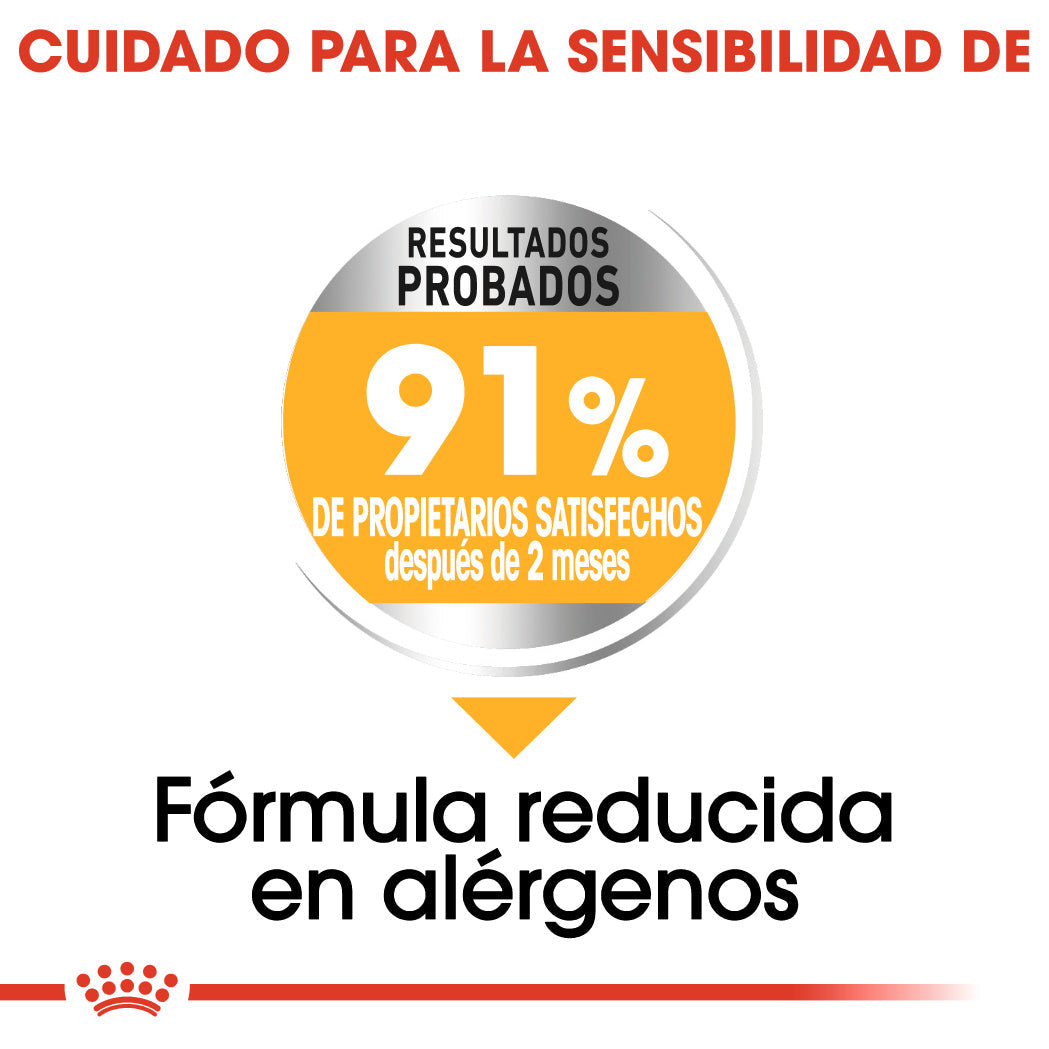Royal Canin Mini Dermacomfort Care Pienso para Perros al mejor precio -todoastorenimal.com