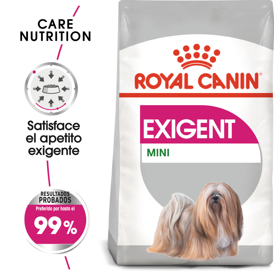 Royal Canin Mini Exigent Care Pienso para Perros al mejor precio -todoastorenimal.com