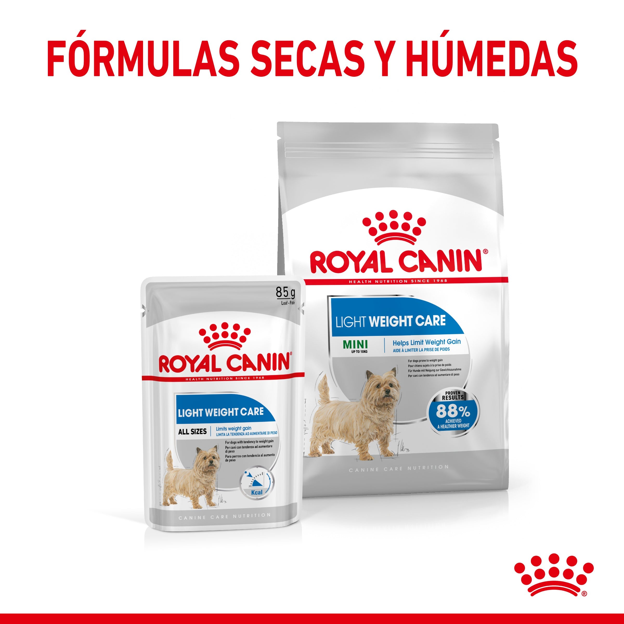 Royal Canin Mini Light Weight Care Pienso para Perros al mejor precio -todoastorenimal.com