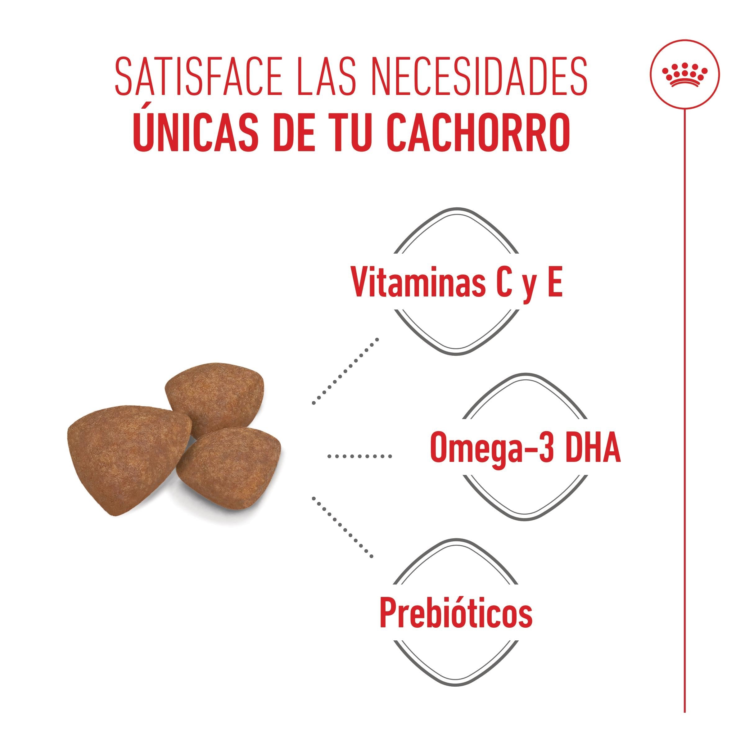 Royal Canin Mini Puppy Pienso para Cachorros al mejor precio -todoastorenimal.com