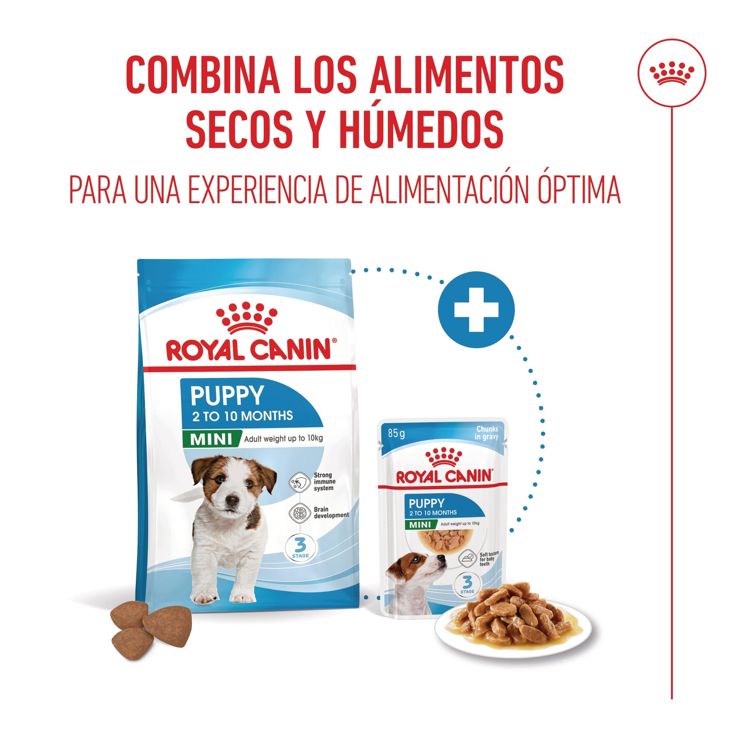 Royal Canin Mini Puppy Pienso para Cachorros al mejor precio -todoastorenimal.com