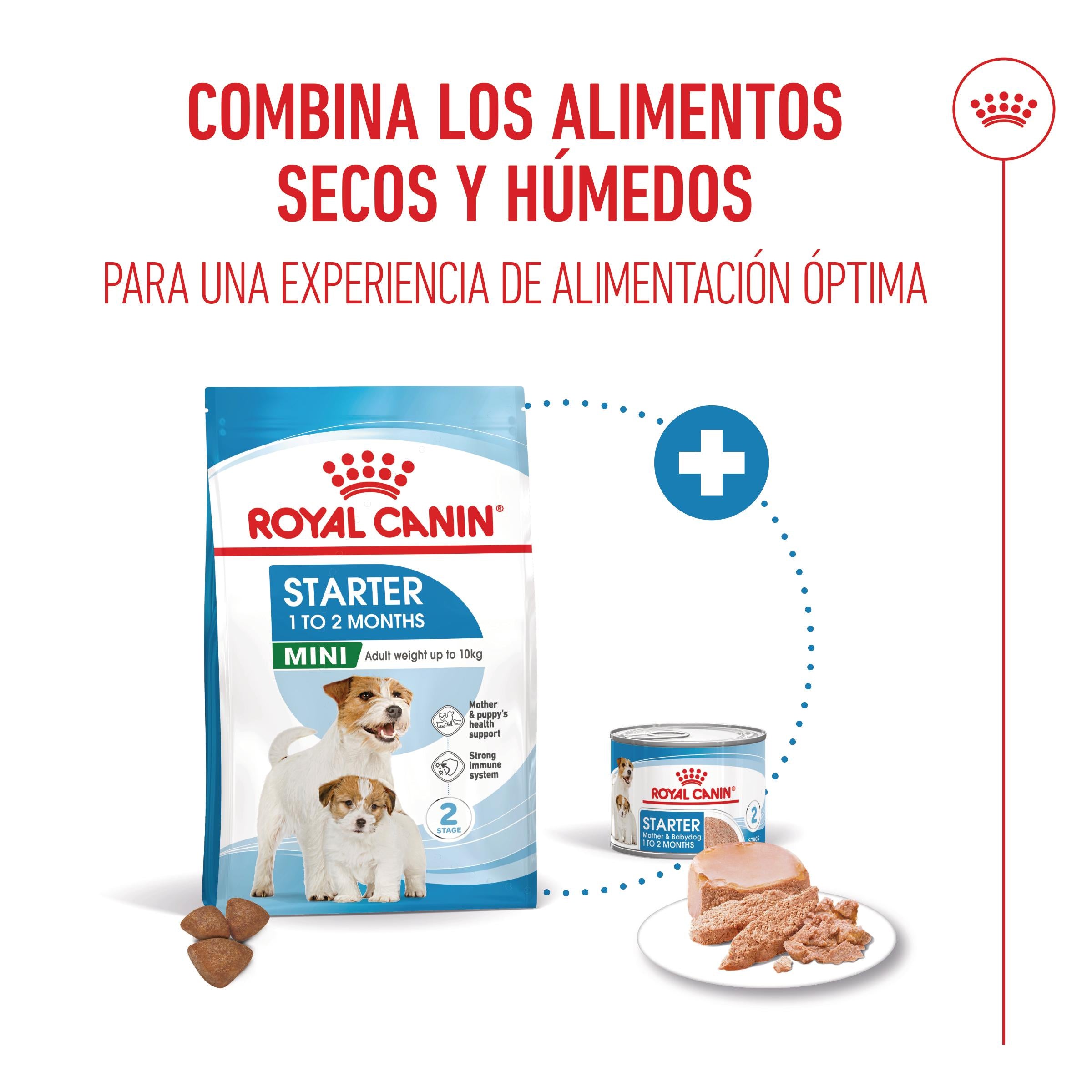 Royal Canin Mini Starter Mother & Babydog Pienso para Cachorros y Madres Lactantes al mejor precio -todoastorenimal.com