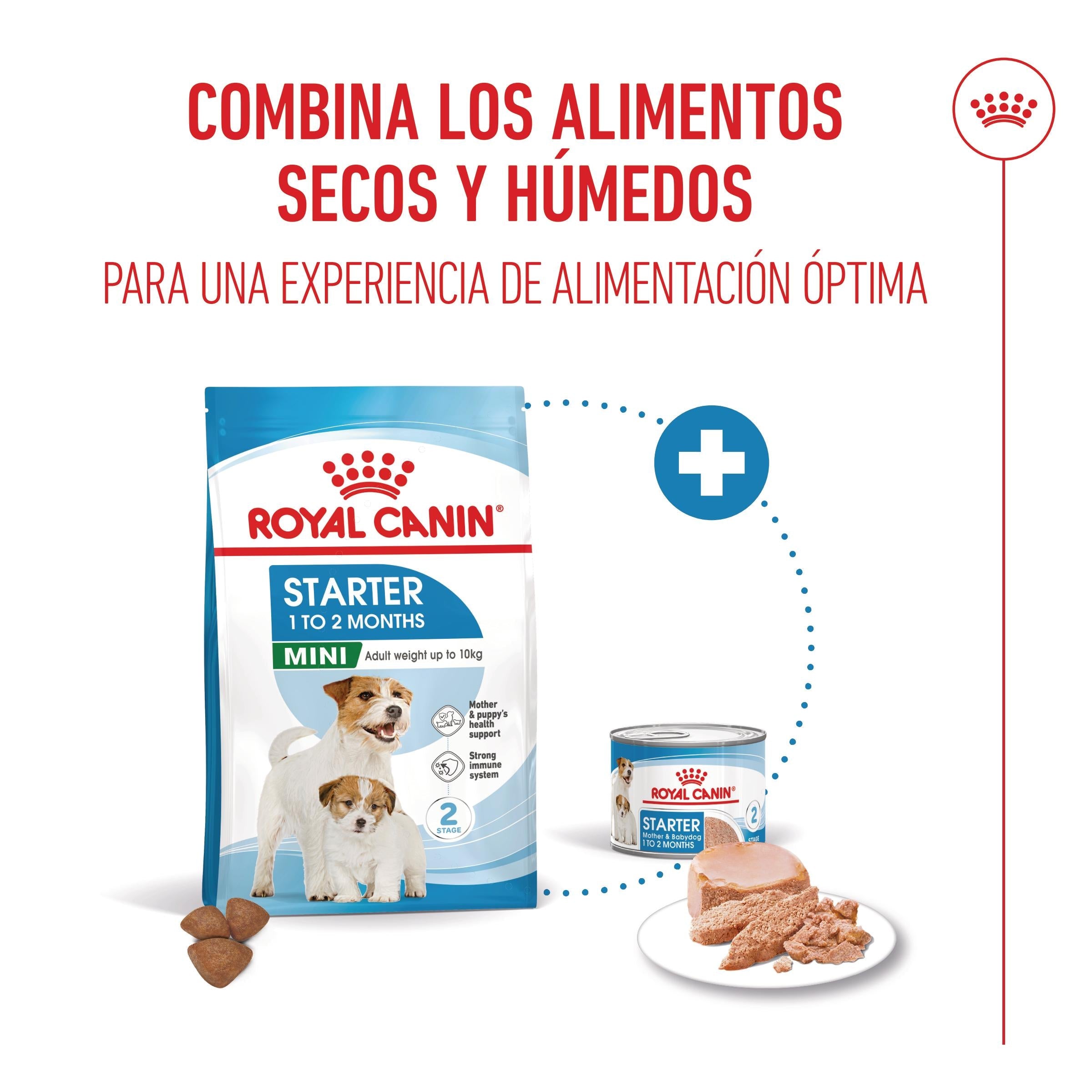 Royal Canin Mini Starter Mother & Babydog Pienso para Cachorros y Madres Lactantes al mejor precio -todoastorenimal.com