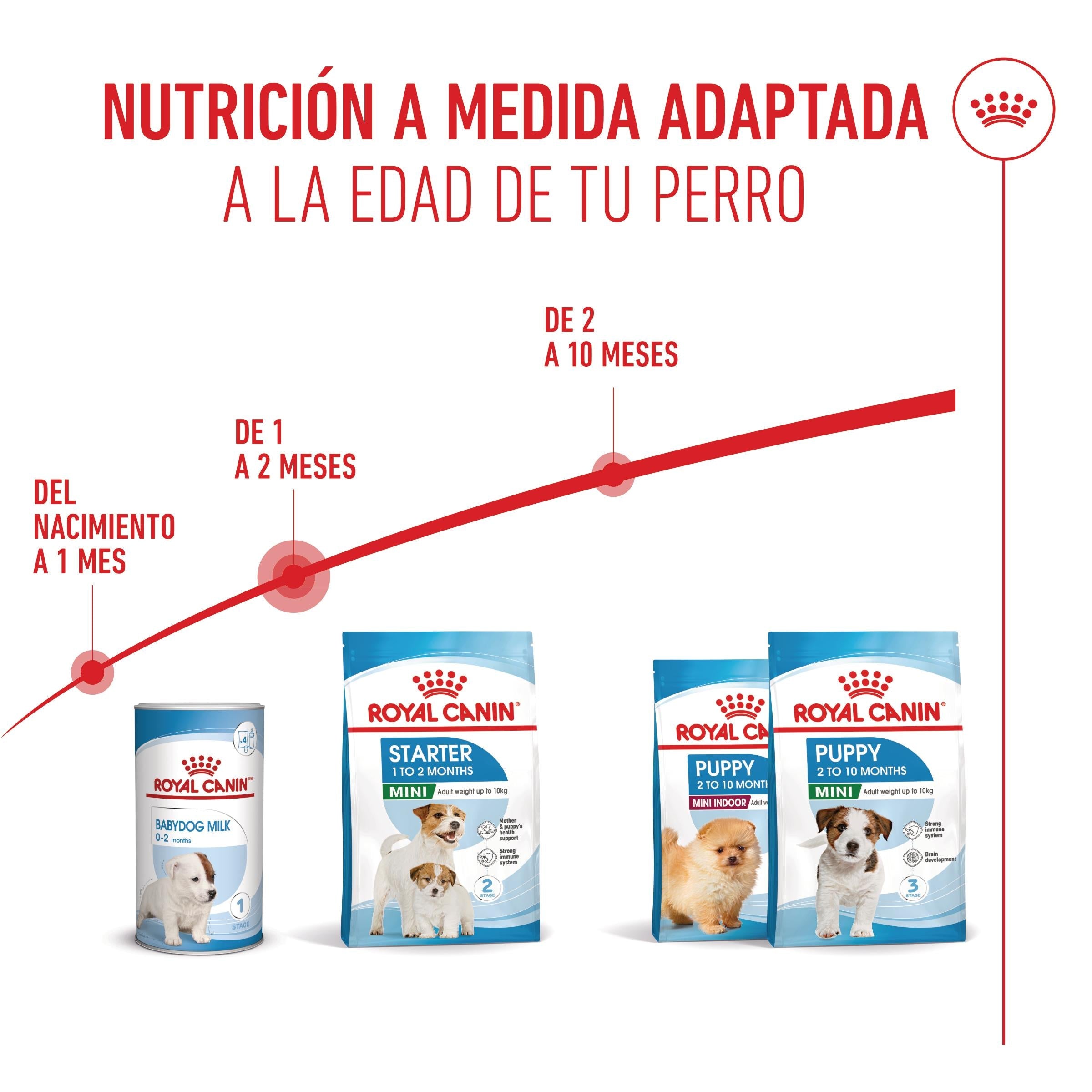 Royal Canin Mini Starter Mother & Babydog Pienso para Cachorros y Madres Lactantes al mejor precio -todoastorenimal.com