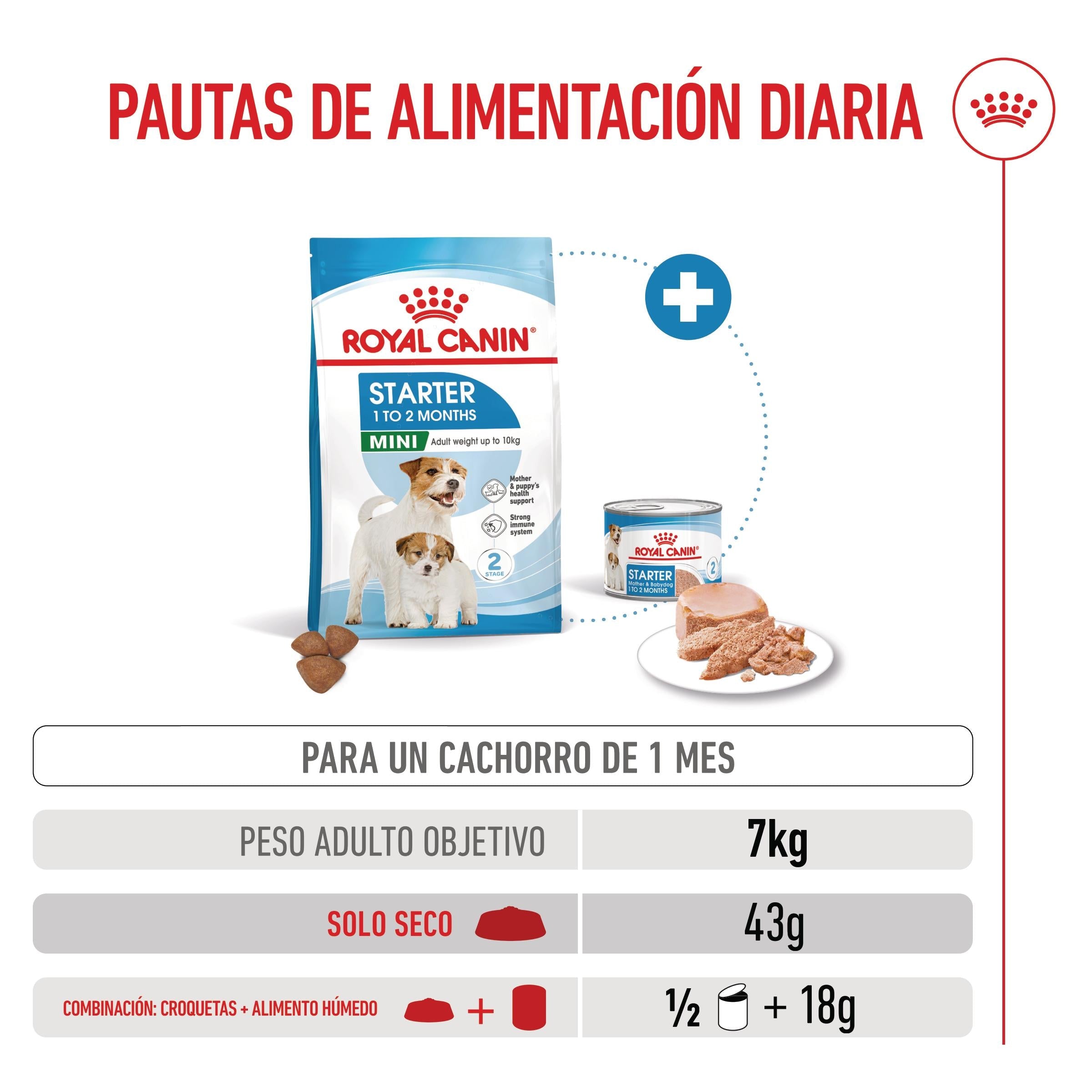 Royal Canin Mini Starter Mother & Babydog Pienso para Cachorros y Madres Lactantes al mejor precio -todoastorenimal.com