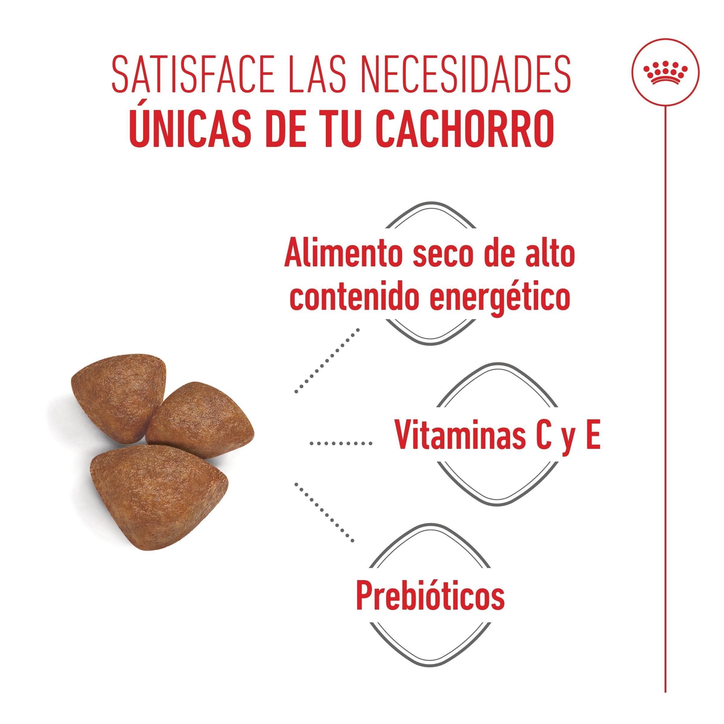 Royal Canin Mini Starter Mother & Babydog Pienso para Cachorros y Madres Lactantes al mejor precio -todoastorenimal.com