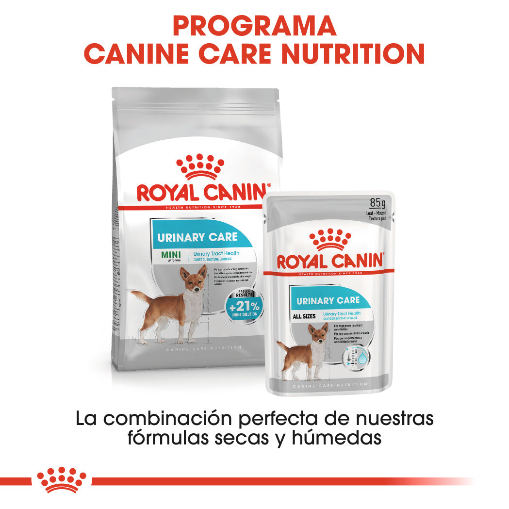 Royal Canin Mini Urinary Care Pienso para Perros al mejor precio -todoastorenimal.com