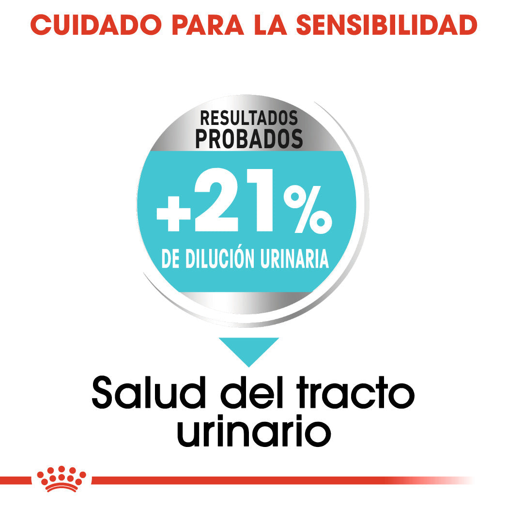 Royal Canin Mini Urinary Care Pienso para Perros al mejor precio -todoastorenimal.com