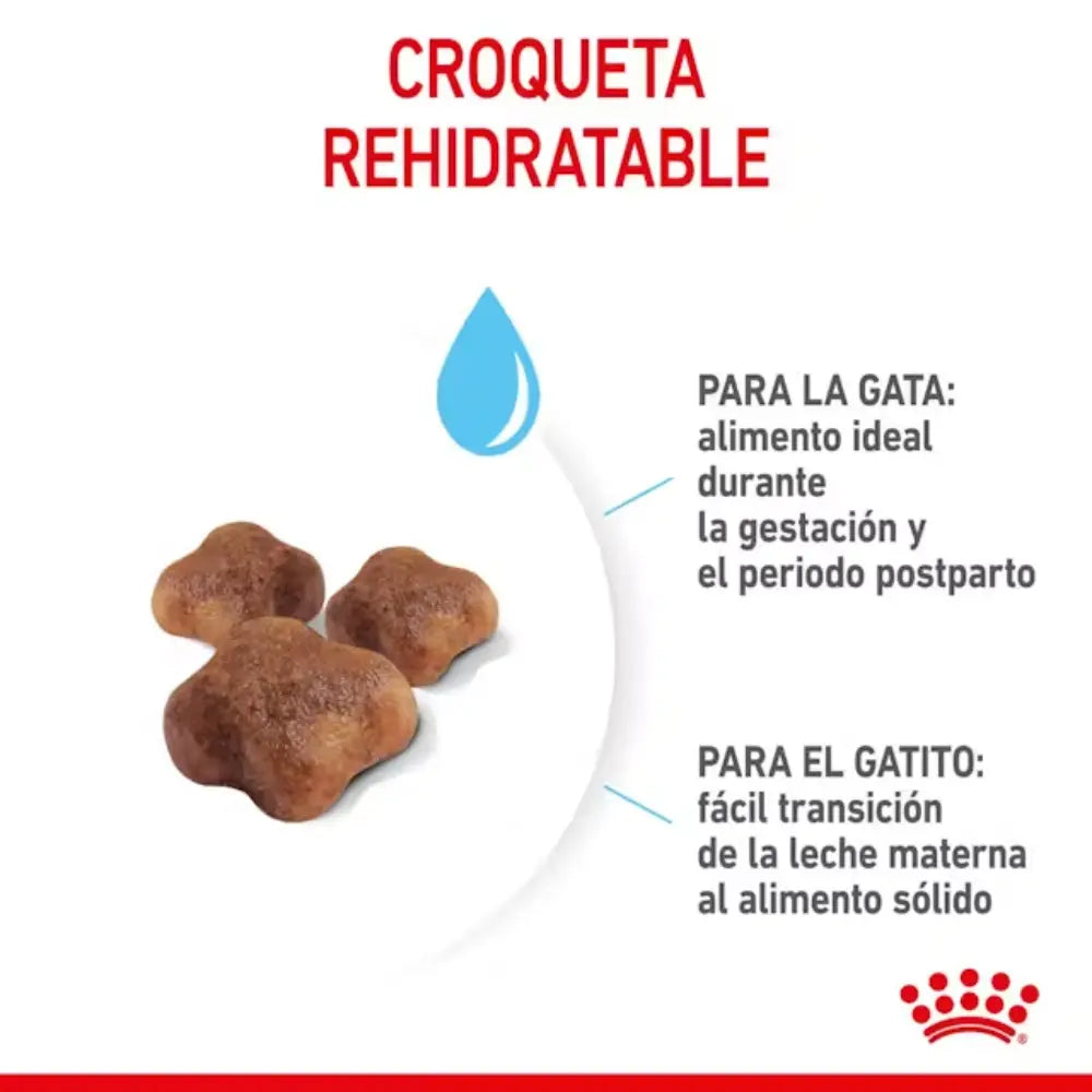 Royal Canin Mother And Babycat al mejor precio -todoastorenimal.com