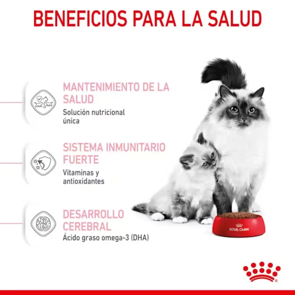 Royal Canin Mother And Babycat al mejor precio -todoastorenimal.com