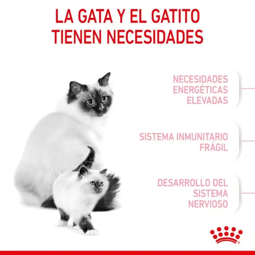Royal Canin Mother And Babycat al mejor precio -todoastorenimal.com