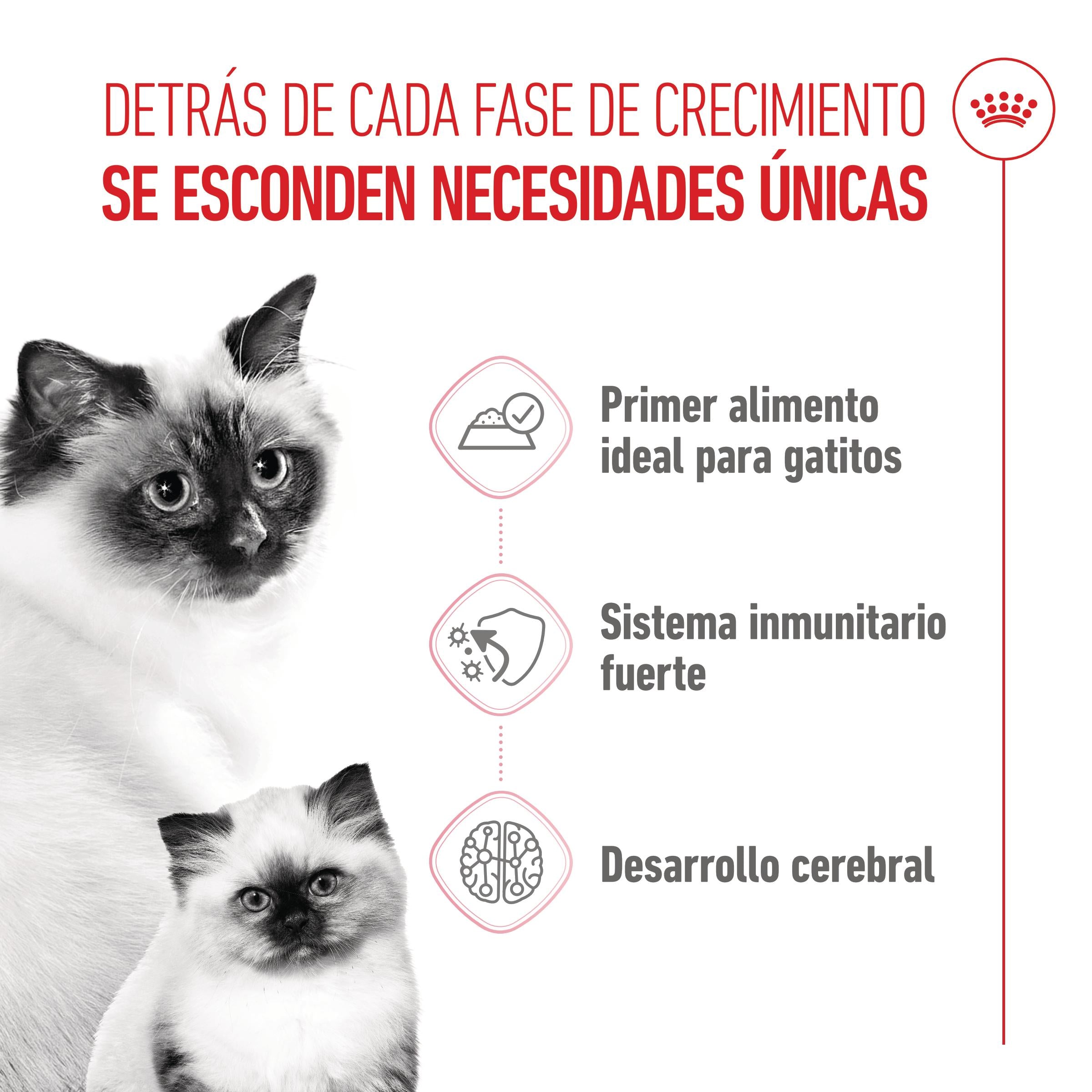 Royal Canin Mother & Babycat 195 g Lata Mousse para Gatitos y Gatas Embarazadas o en Lactancia al mejor precio -todoastorenimal.com