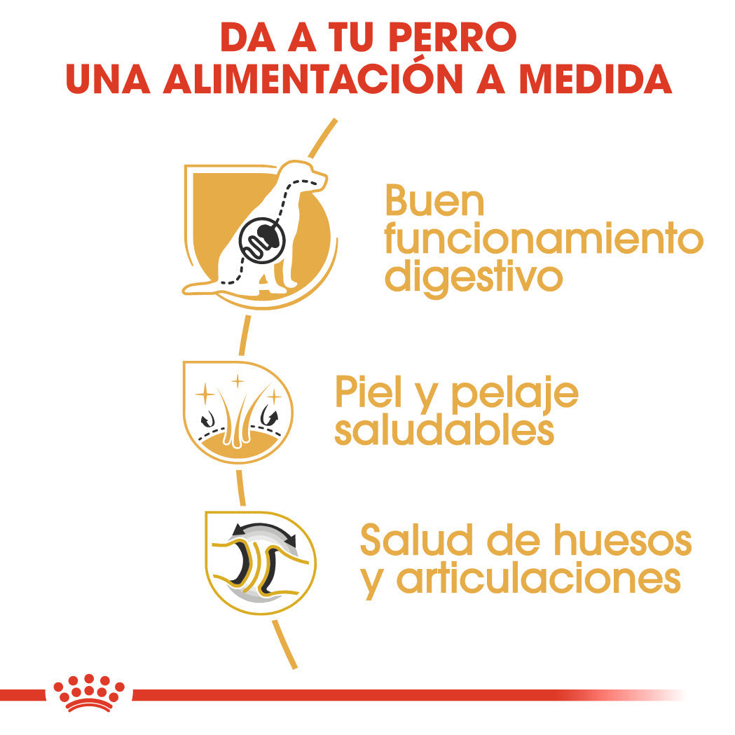 Royal Canin Pastor Alemán Adult 11 kg Pienso para Perros de Raza al mejor precio -todoastorenimal.com