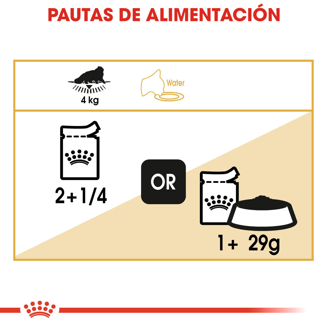 Royal Canin Persian 85 g Paté Húmedo para Gatos al mejor precio -todoastorenimal.com