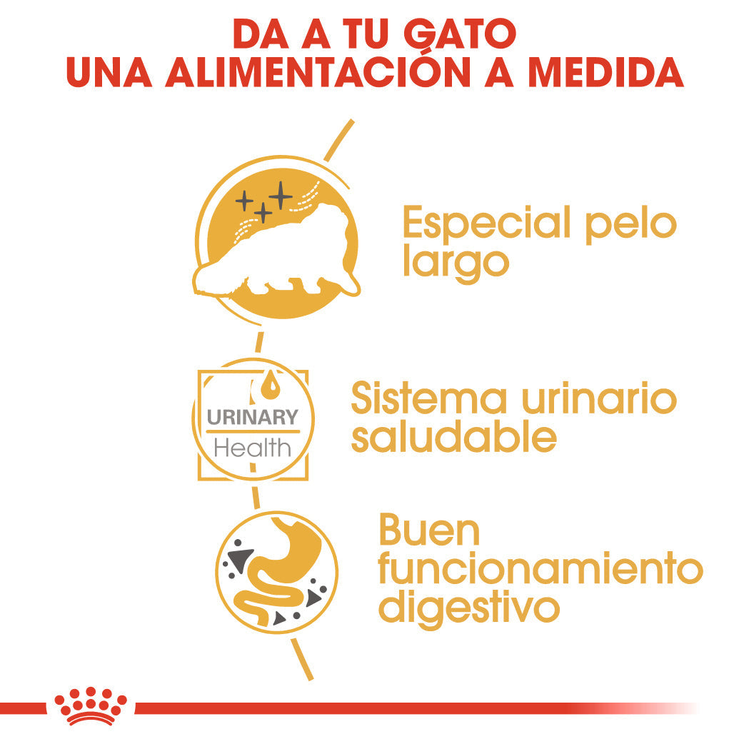 Royal Canin Persian 85 g Paté Húmedo para Gatos al mejor precio -todoastorenimal.com