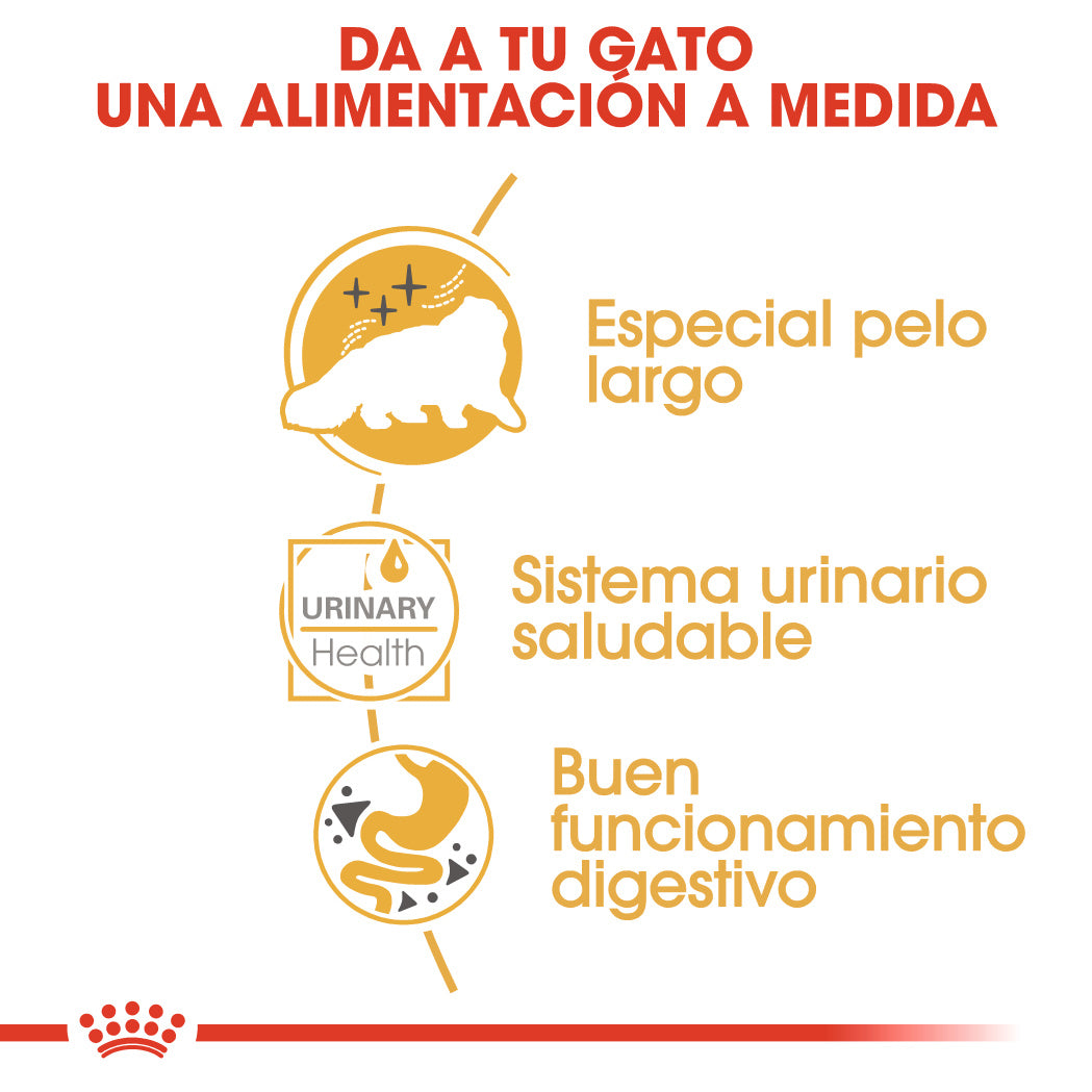 Royal Canin Persian 85 g Paté Húmedo para Gatos al mejor precio -todoastorenimal.com