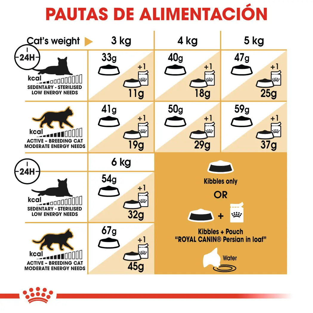 Royal Canin Persian Adulto Pienso para Gatos de Raza Persa al mejor precio -todoastorenimal.com