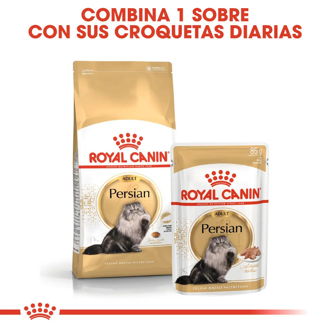 Royal Canin Persian Adulto Pienso para Gatos de Raza Persa al mejor precio -todoastorenimal.com