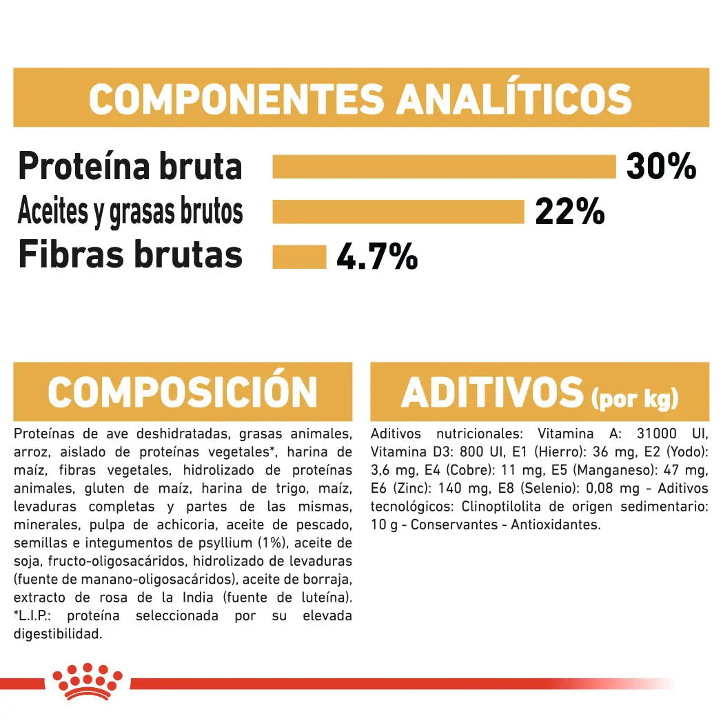 Royal Canin Persian Adulto Pienso para Gatos de Raza Persa al mejor precio -todoastorenimal.com