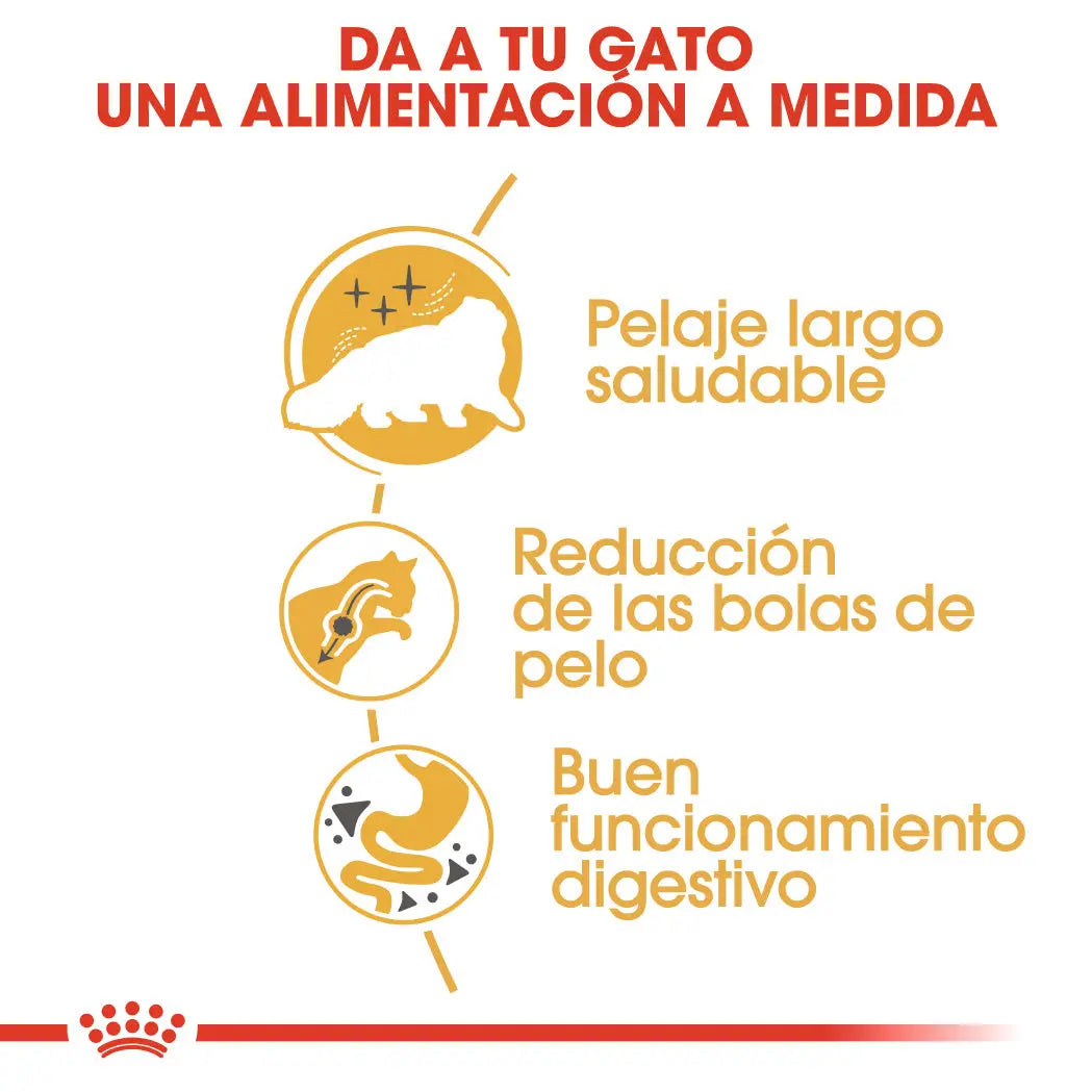 Royal Canin Persian Adulto Pienso para Gatos de Raza Persa al mejor precio -todoastorenimal.com