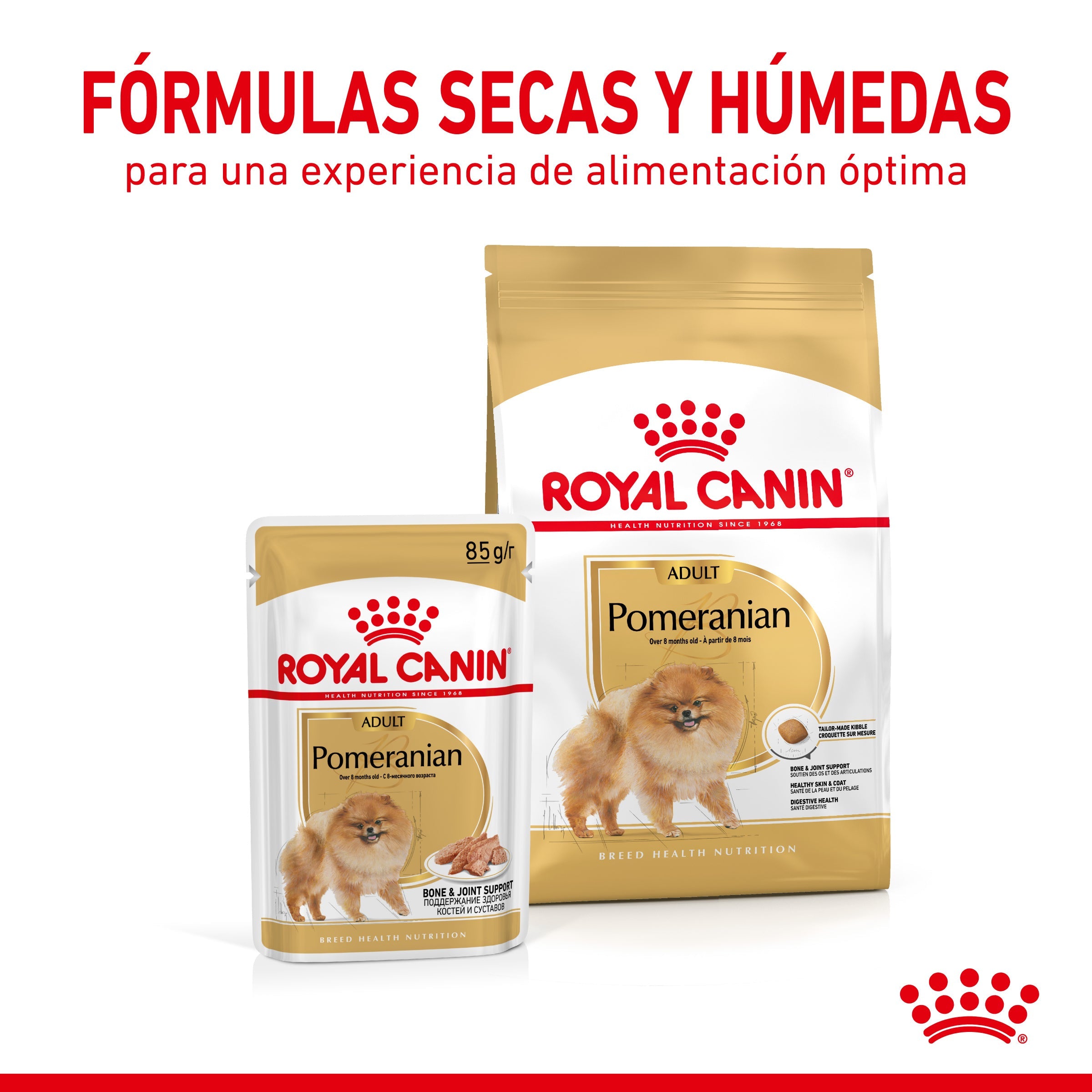 Royal Canin Pomerania Adulto Pienso para Perros de Raza al mejor precio -todoastorenimal.com