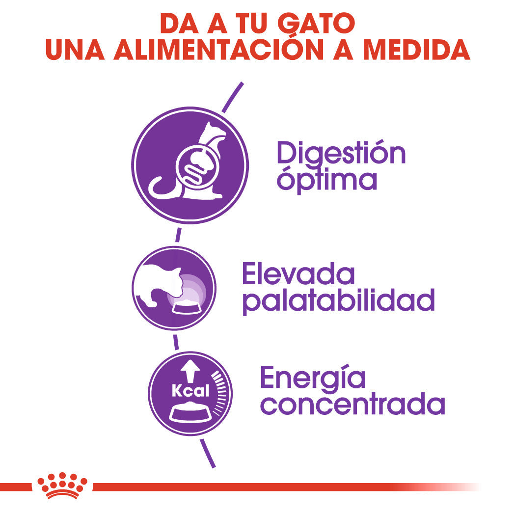Royal Canin Sensible 33 10 kg Pienso para Gatos al mejor precio -todoastorenimal.com
