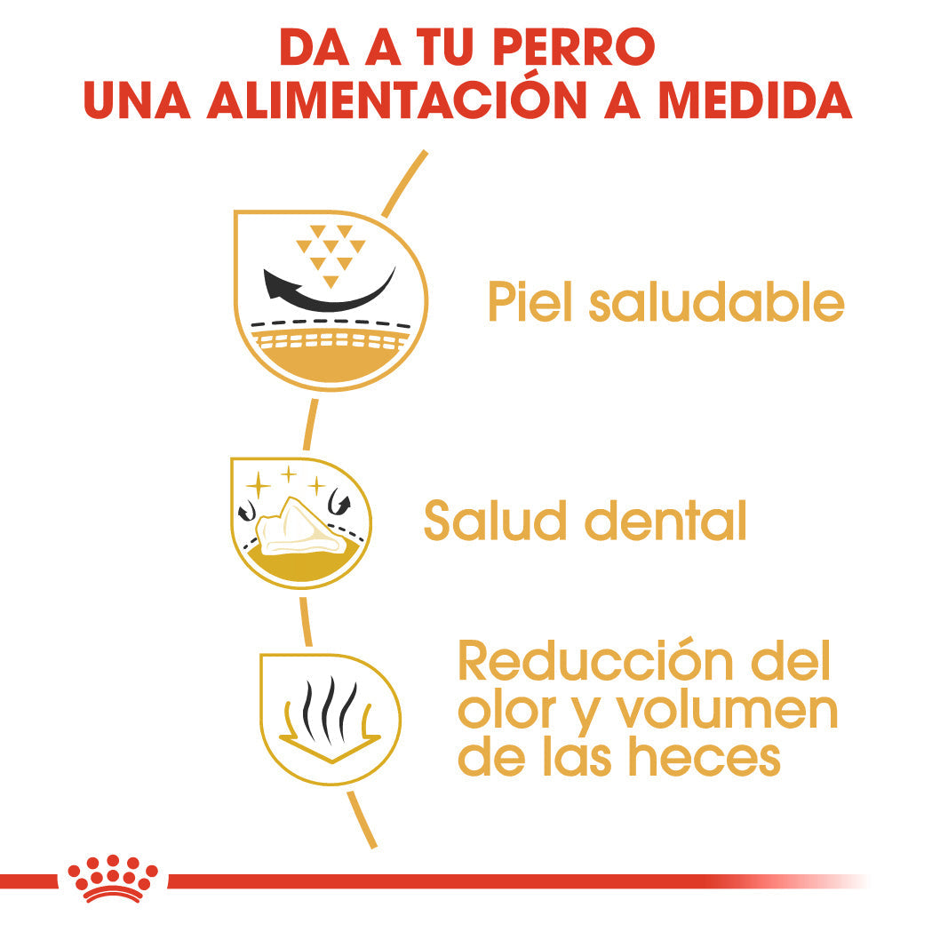 Royal Canin Shih Tzu Adulto Pienso para Perros de Raza al mejor precio -todoastorenimal.com